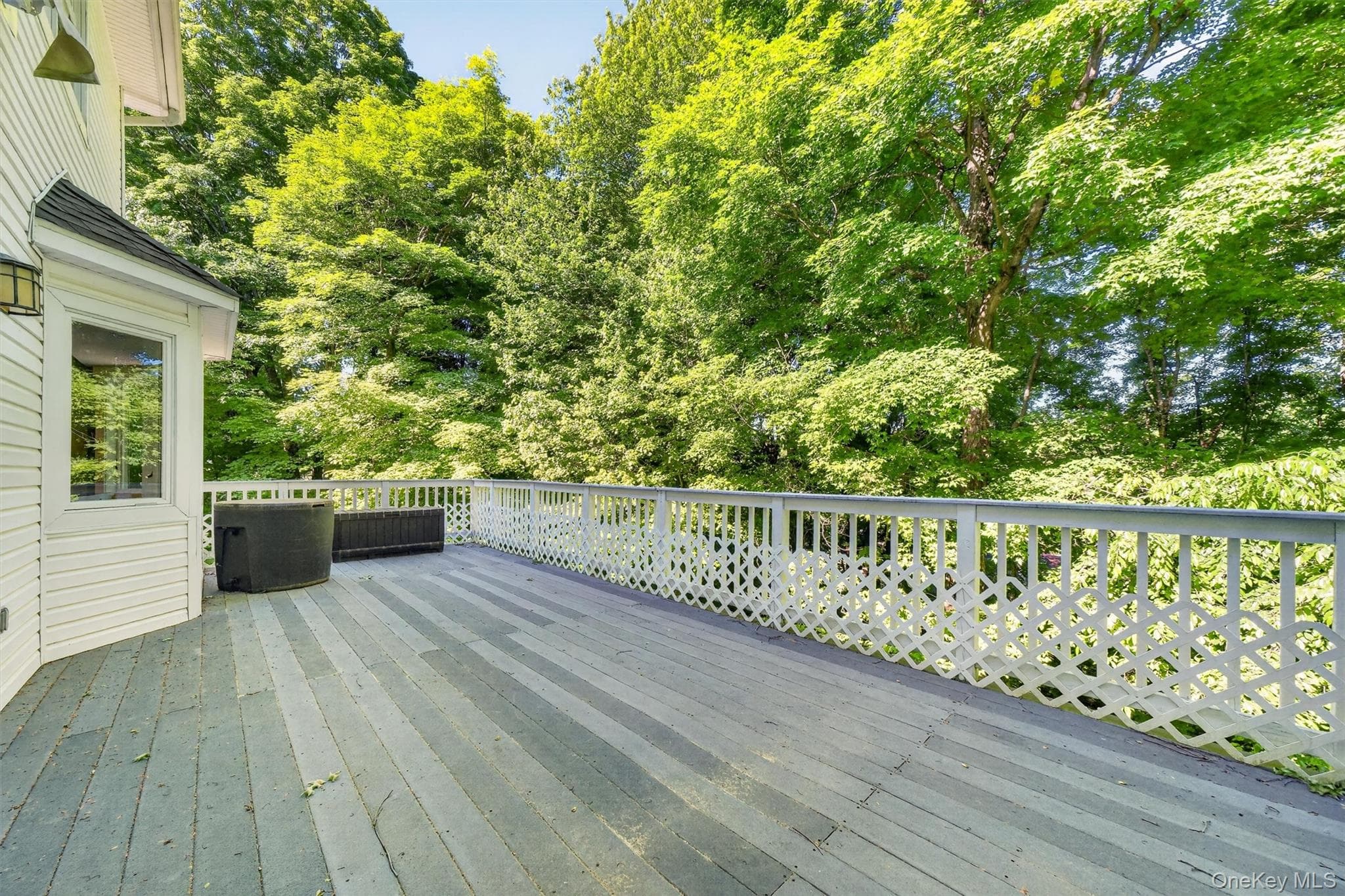 11 Arbutus Street thumbnail 34