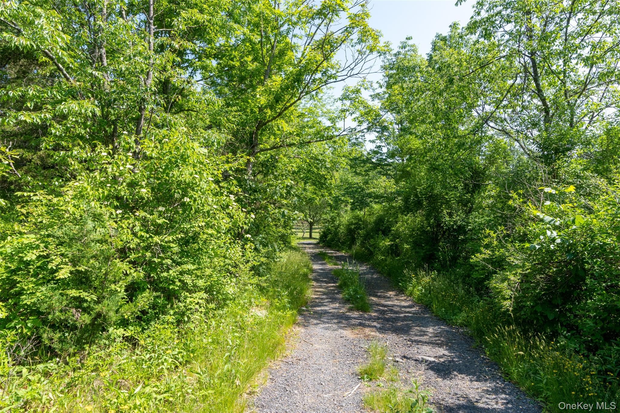508 Woodstock Road thumbnail 42