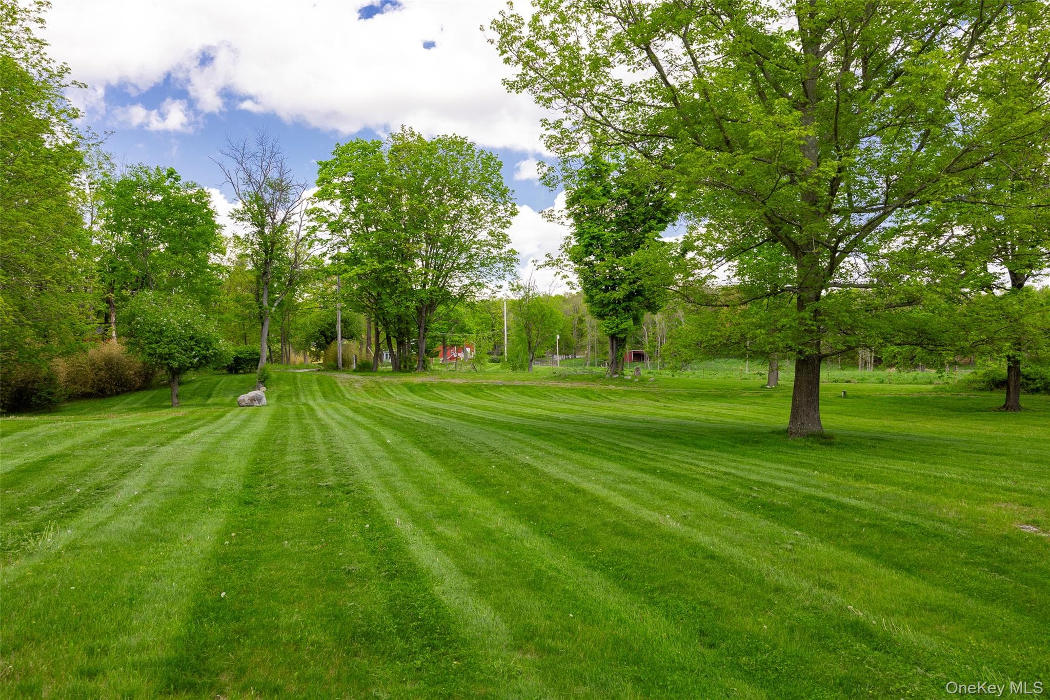 508 Woodstock Road thumbnail 24