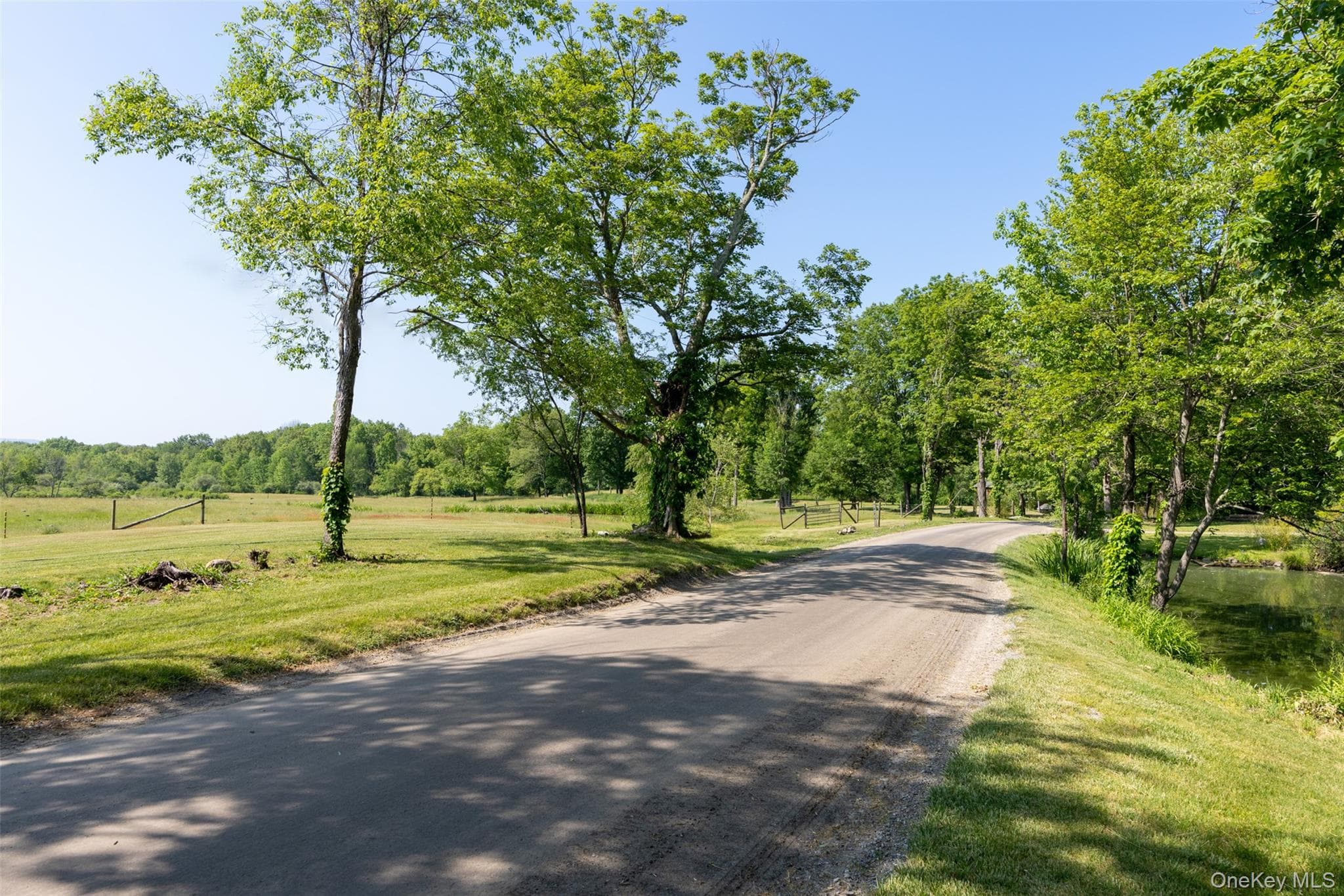 508 Woodstock Road thumbnail 34