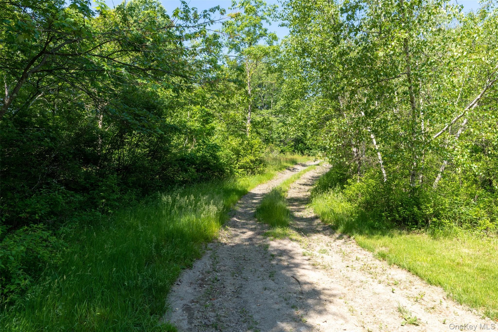 508 Woodstock Road thumbnail 41