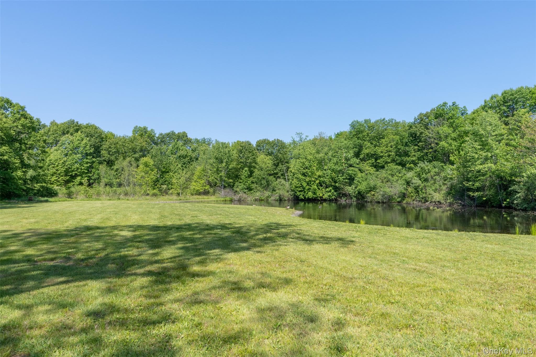 508 Woodstock Road thumbnail 36