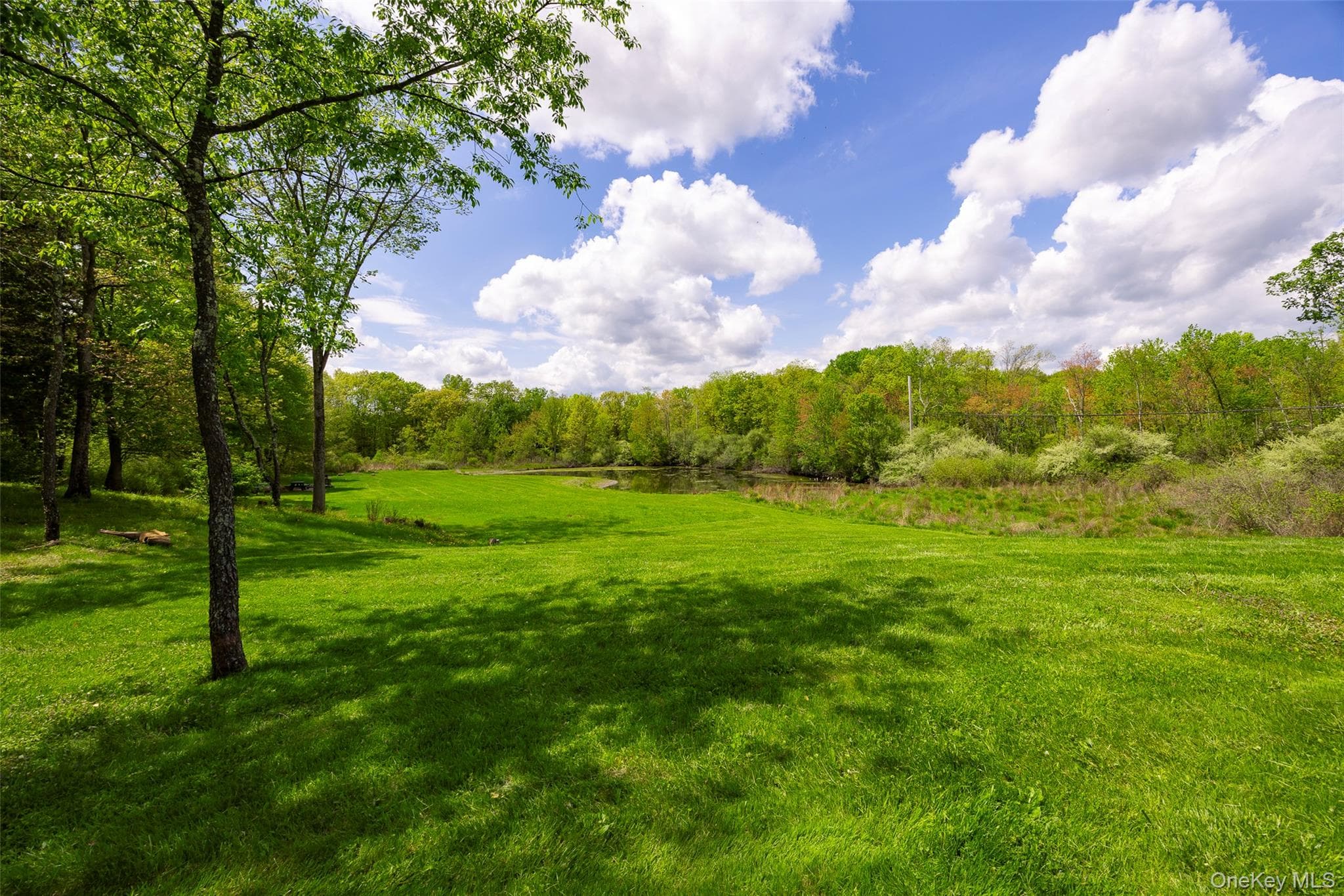 508 Woodstock Road thumbnail 23