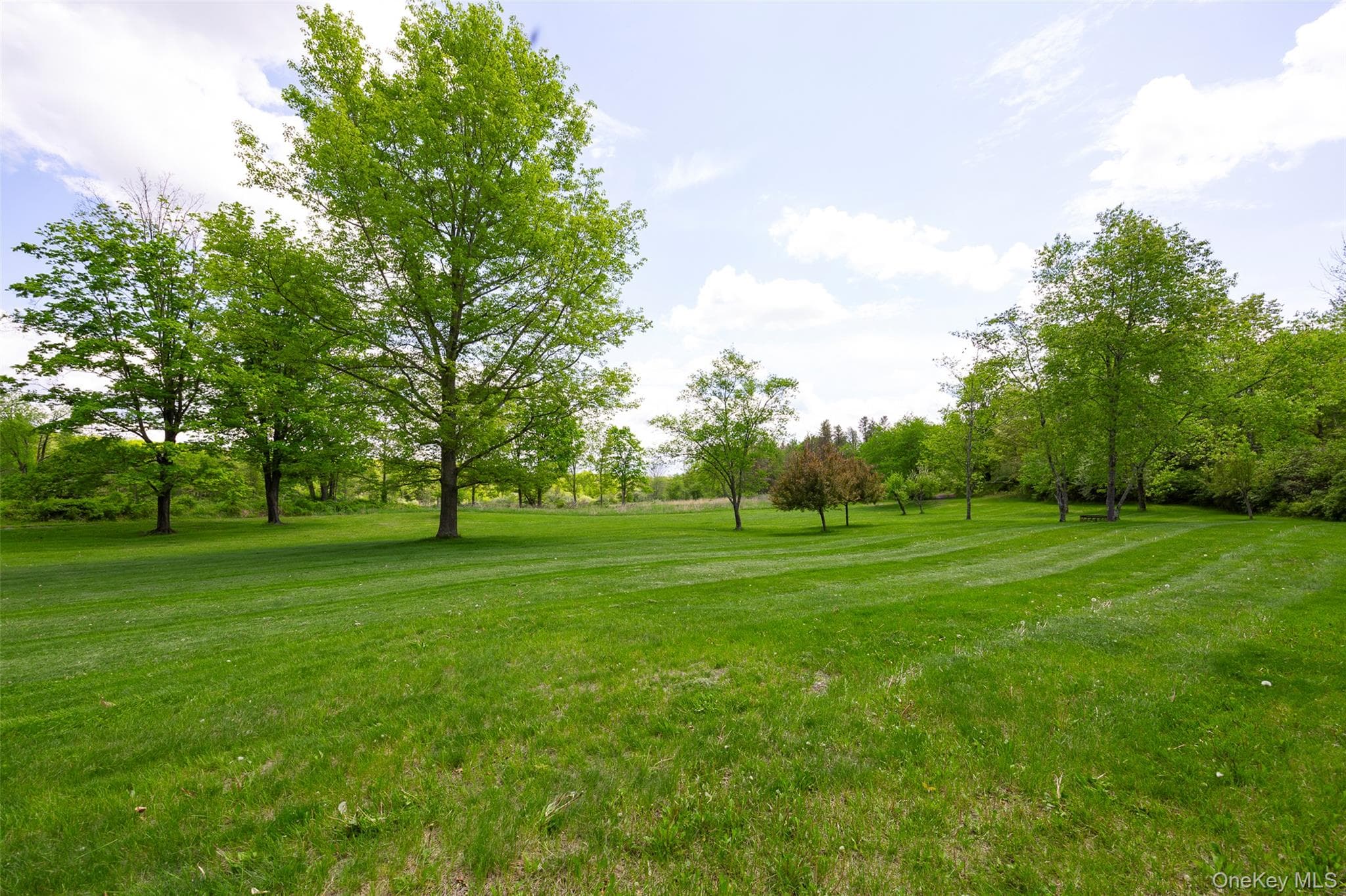 508 Woodstock Road thumbnail 25