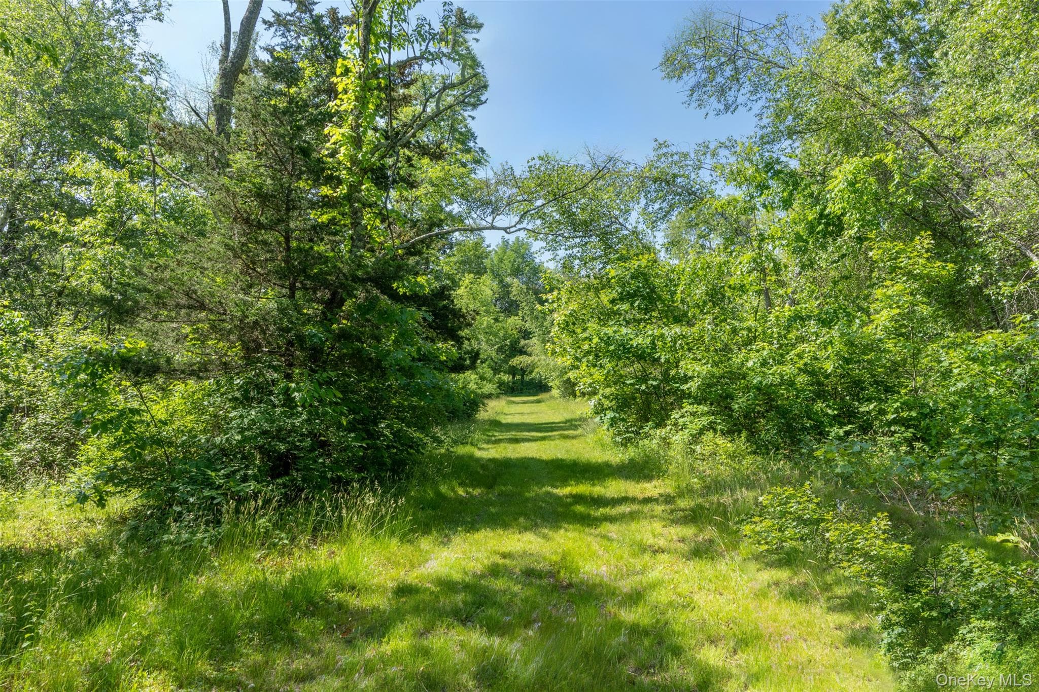 508 Woodstock Road thumbnail 40