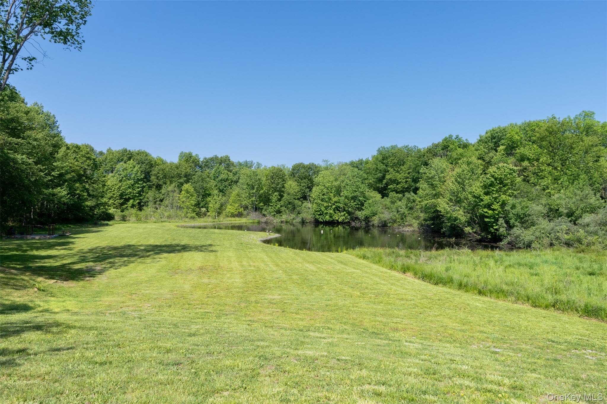 508 Woodstock Road thumbnail 7