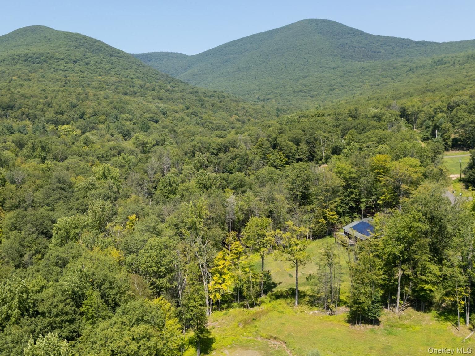 61 Hillside Drive thumbnail 6