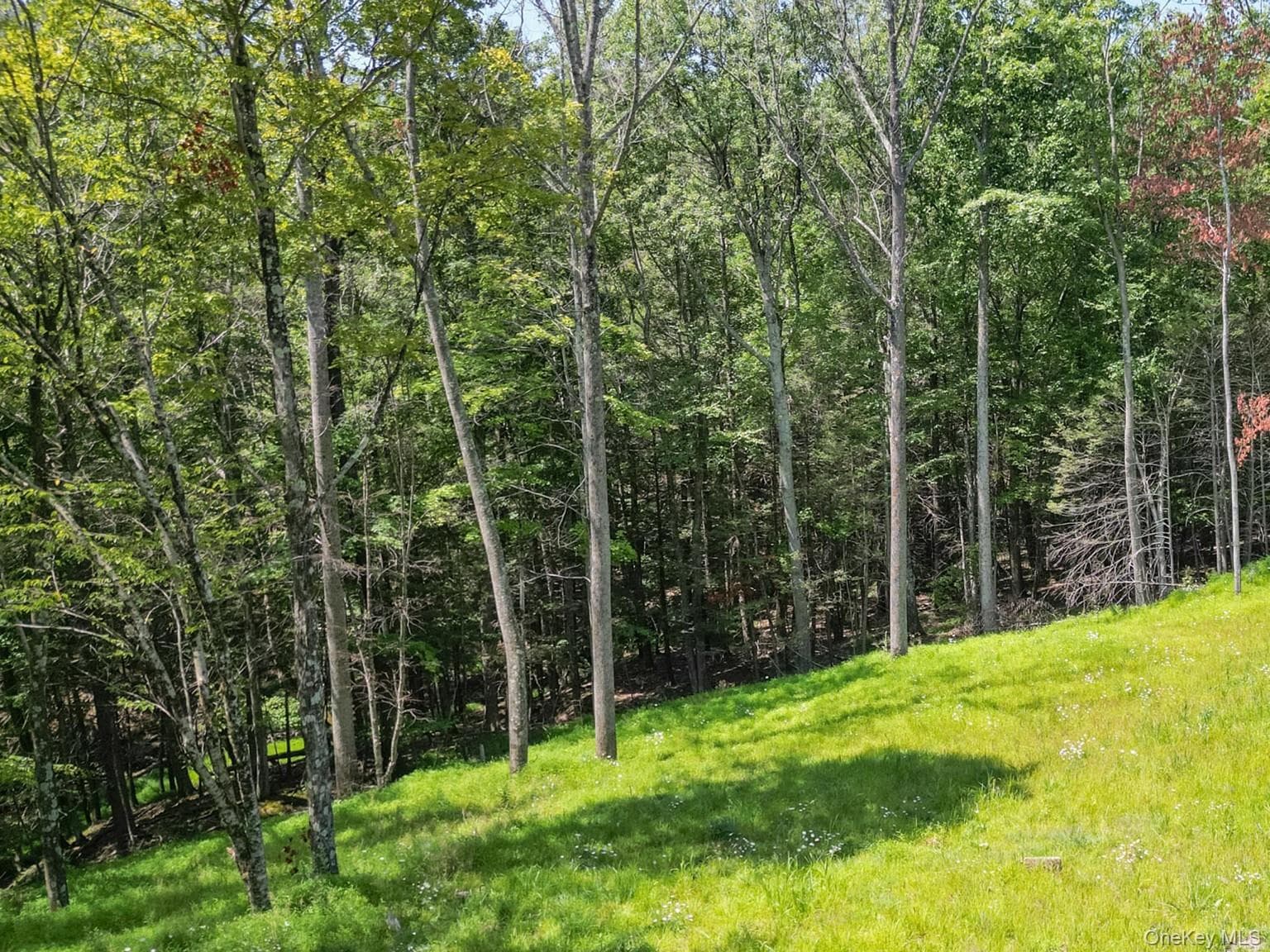 61 Hillside Drive thumbnail 5