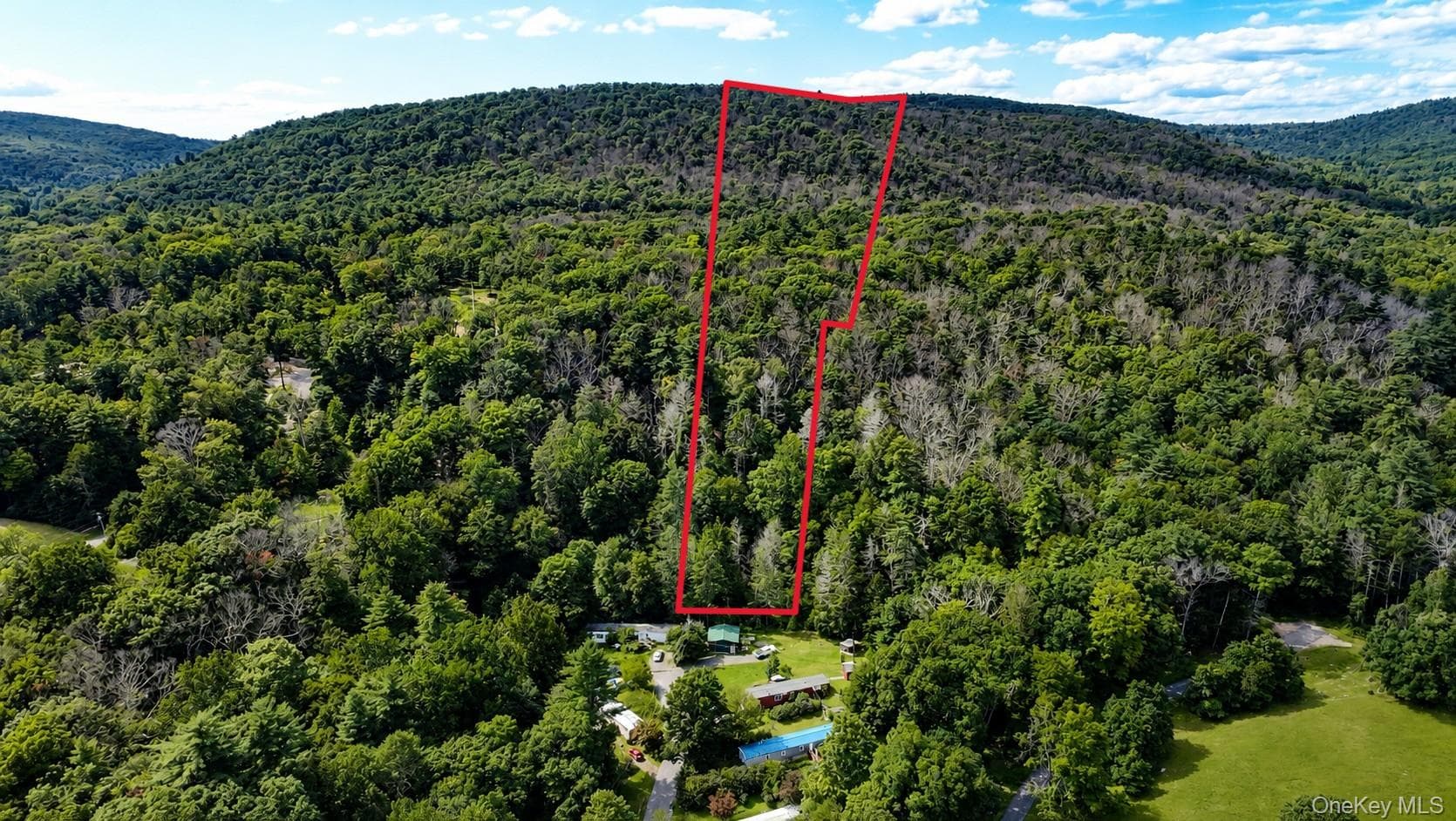 Route 209 photo 1