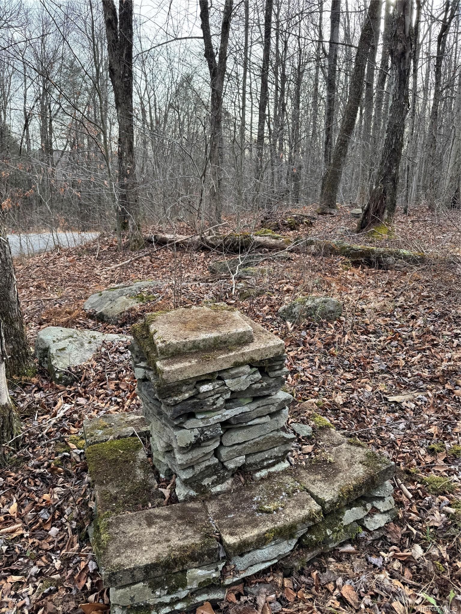 Hilltop Road thumbnail 6