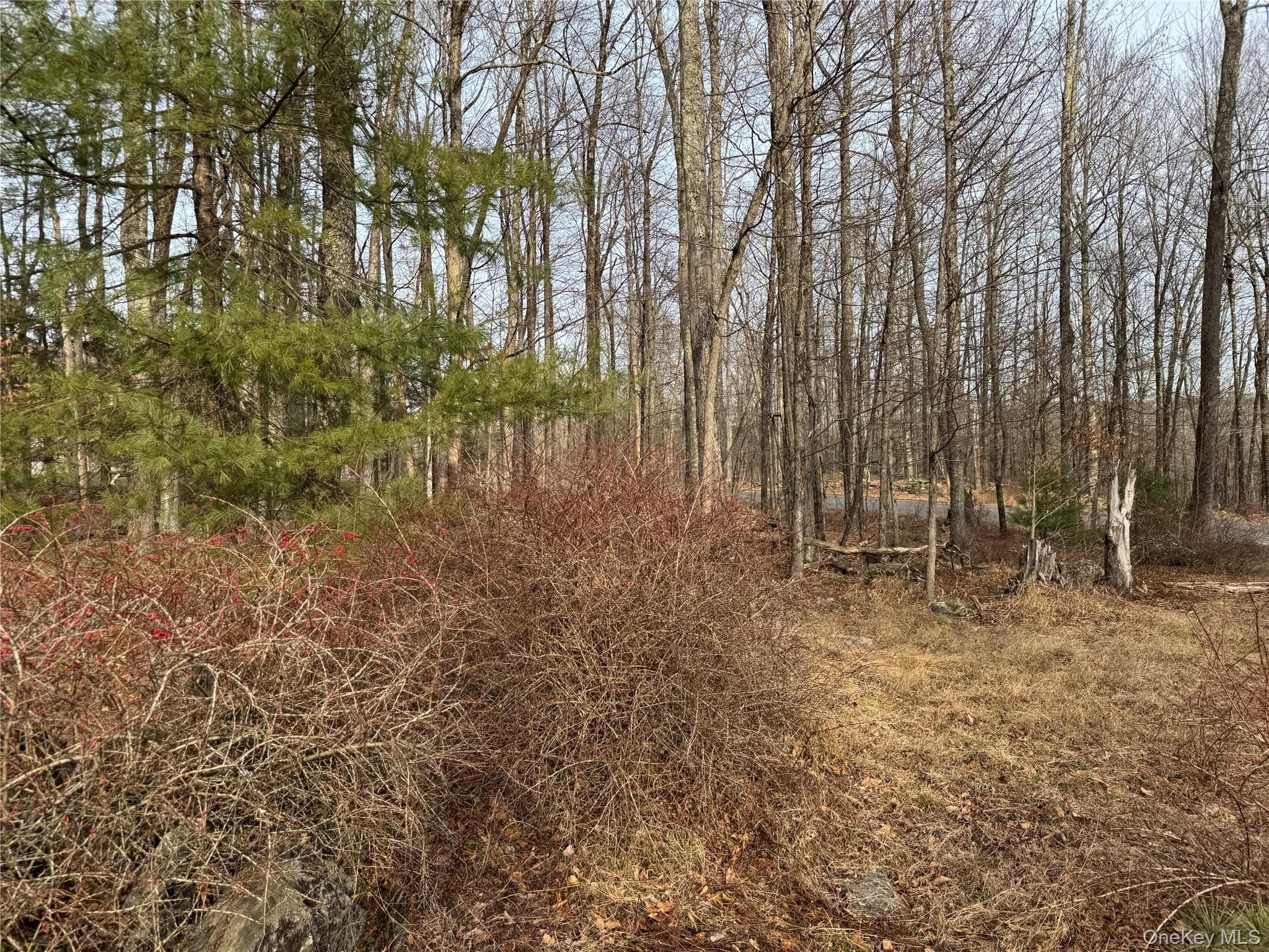 Hilltop Road thumbnail 10