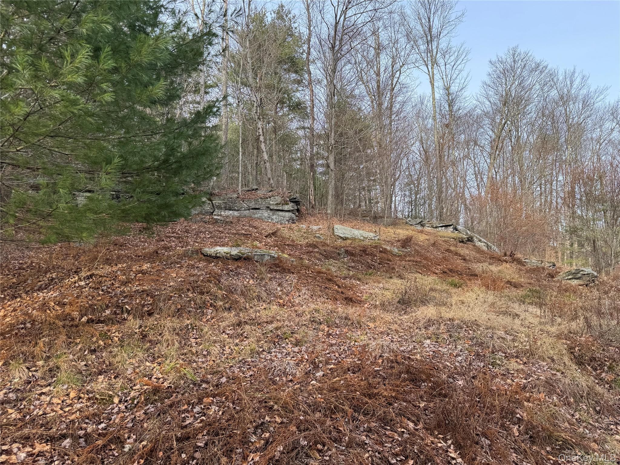 Hilltop Road thumbnail 2
