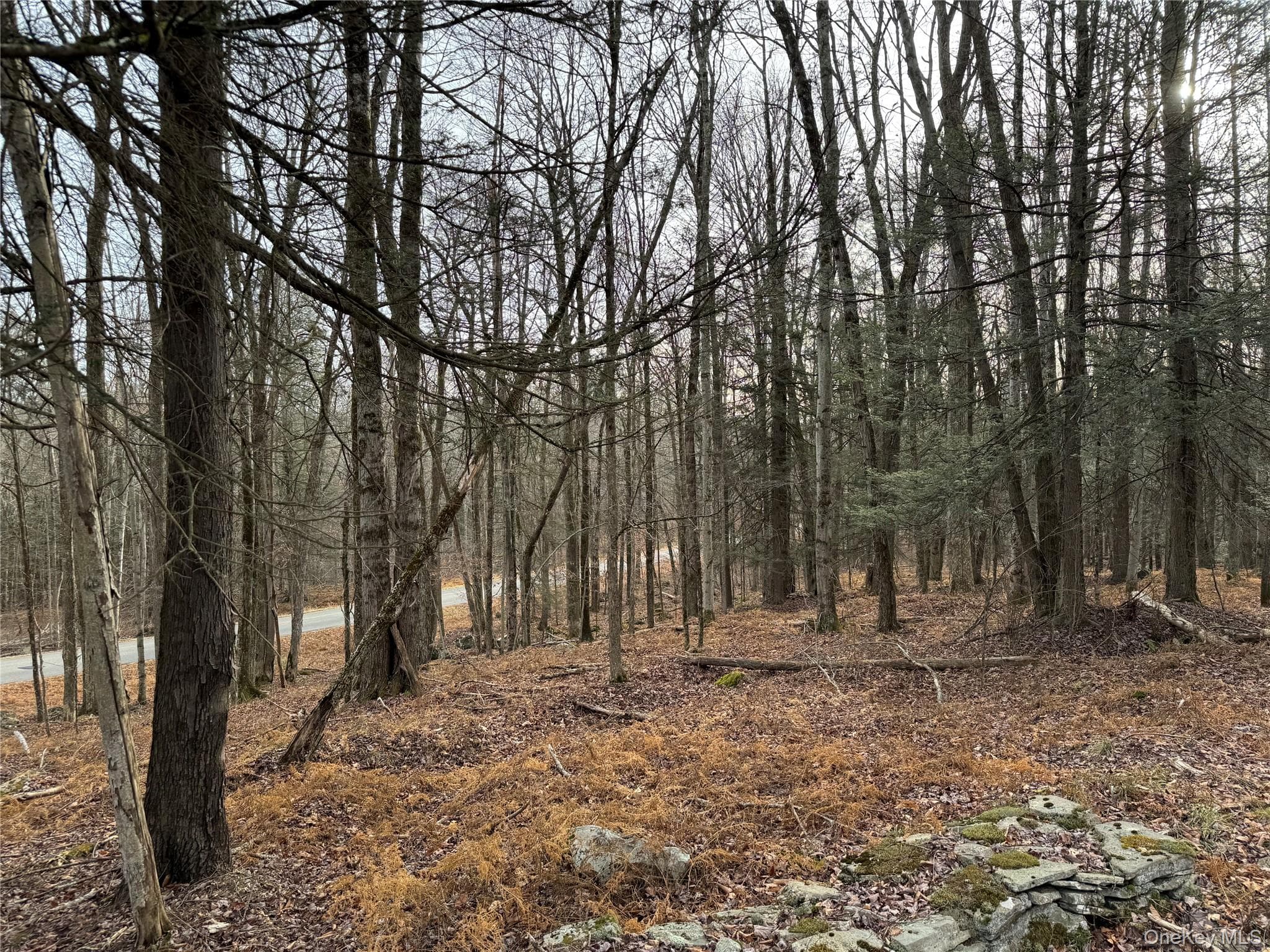 Hilltop Road thumbnail 15