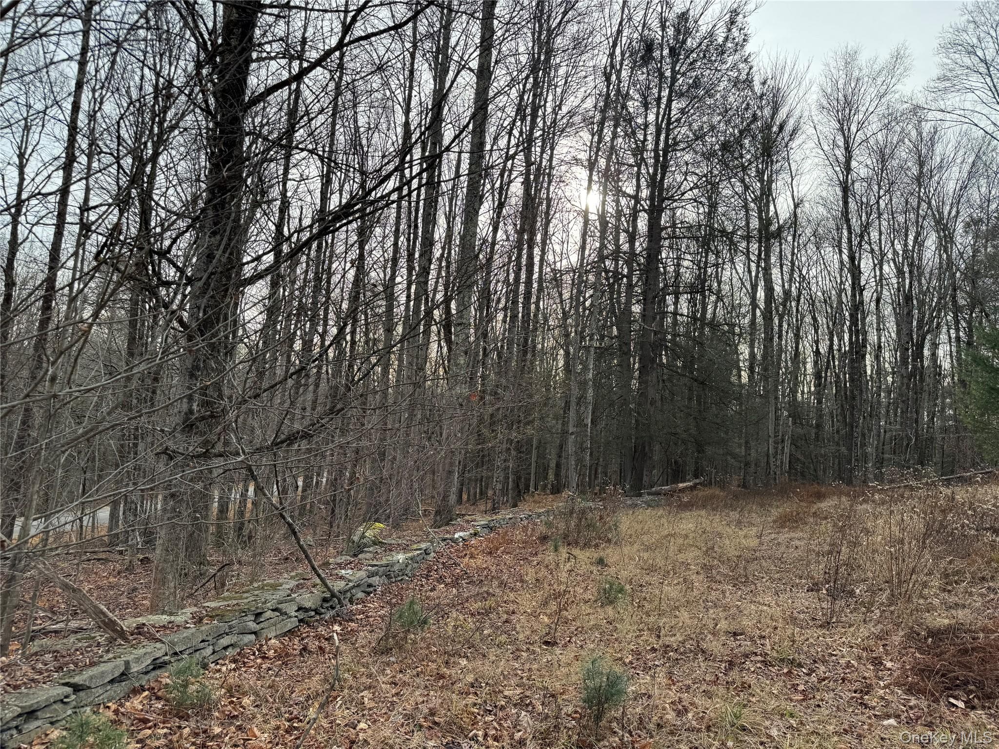 Hilltop Road thumbnail 13
