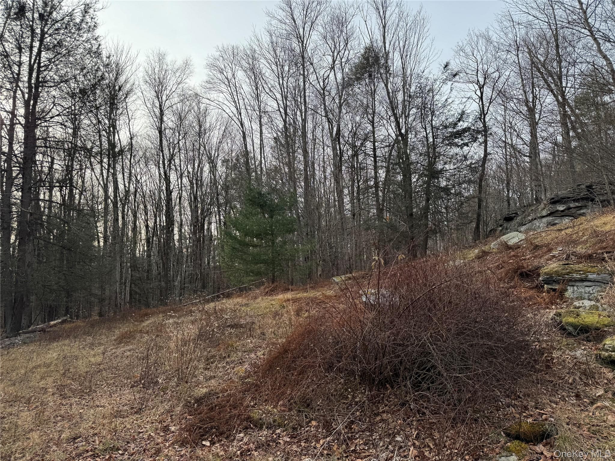 Hilltop Road thumbnail 9