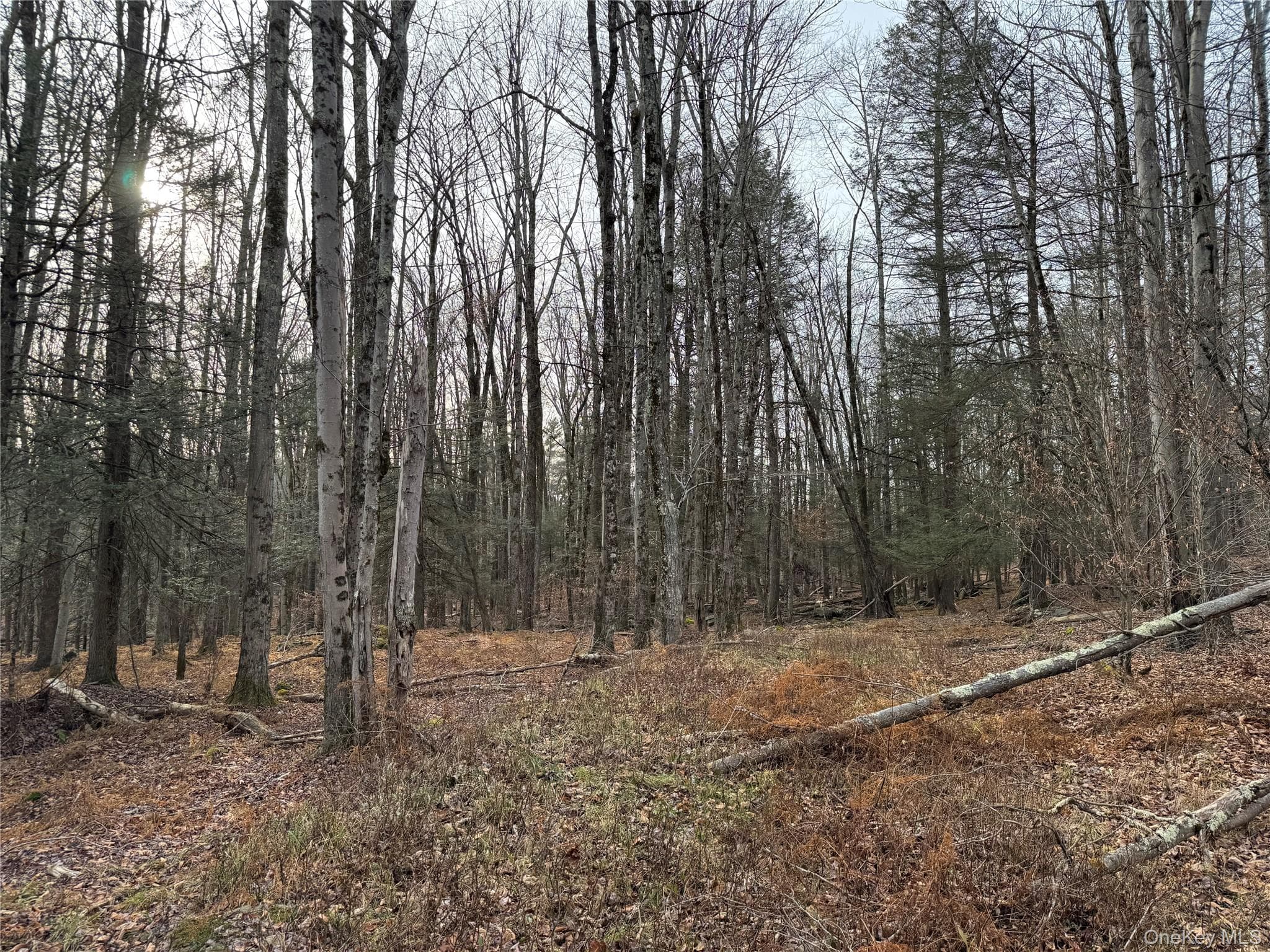 Hilltop Road thumbnail 14