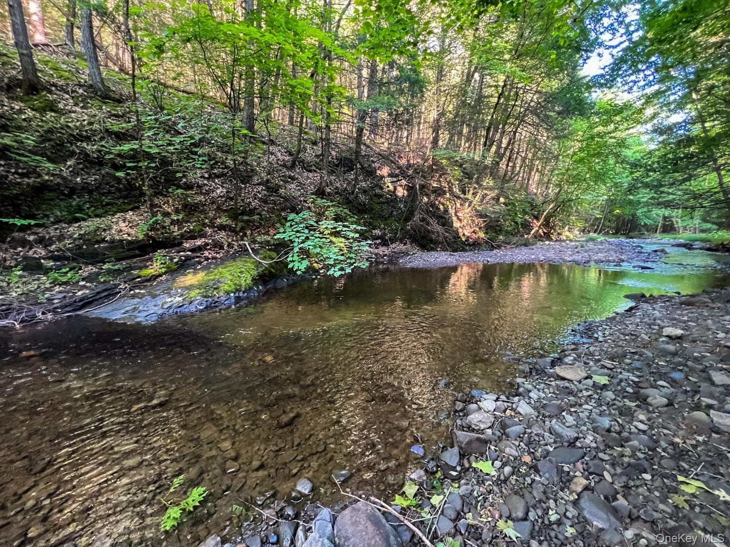 210 Cherrytown Road thumbnail 8