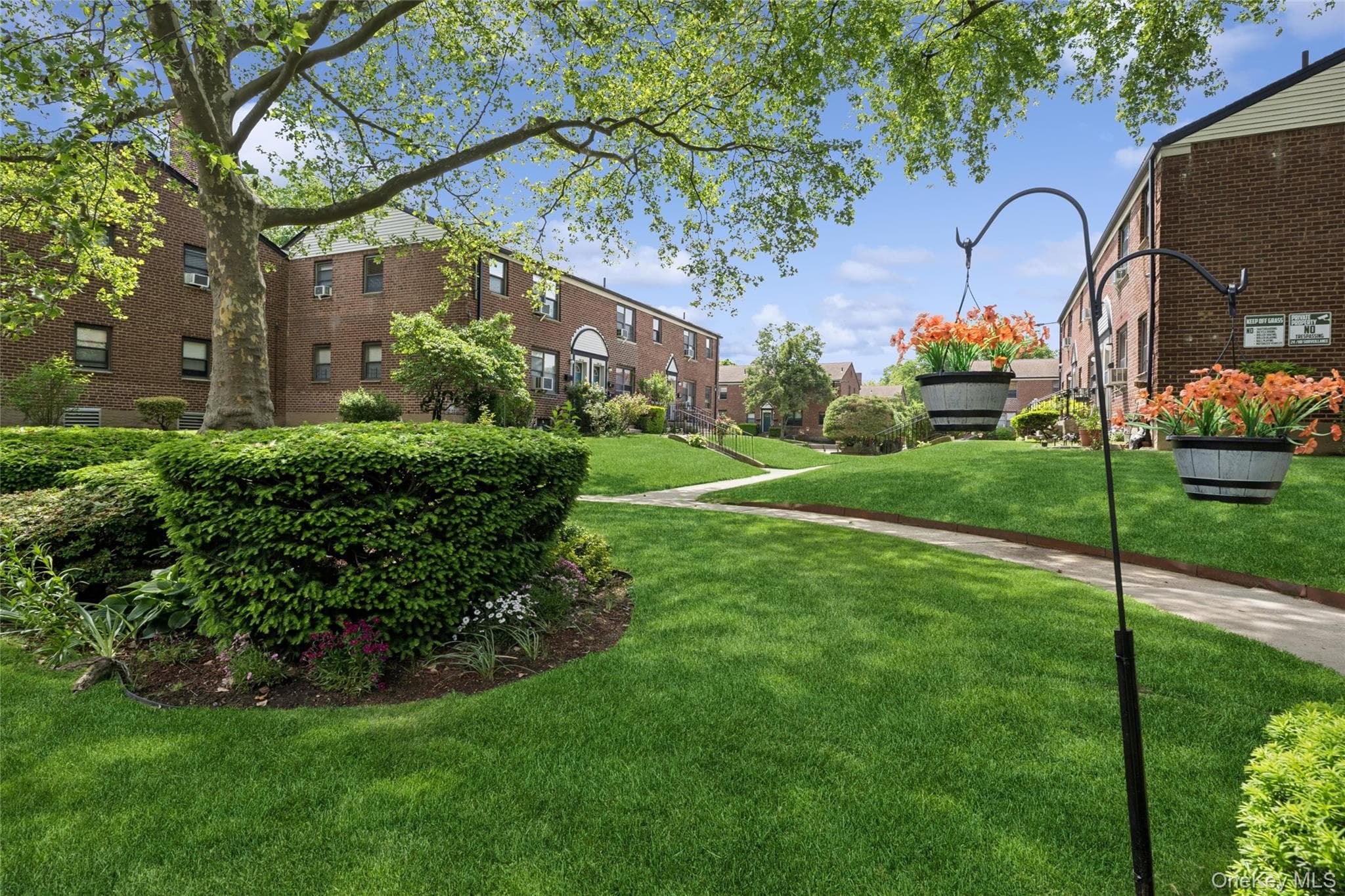 196-30 67th Avenue Unit: 1 thumbnail 8