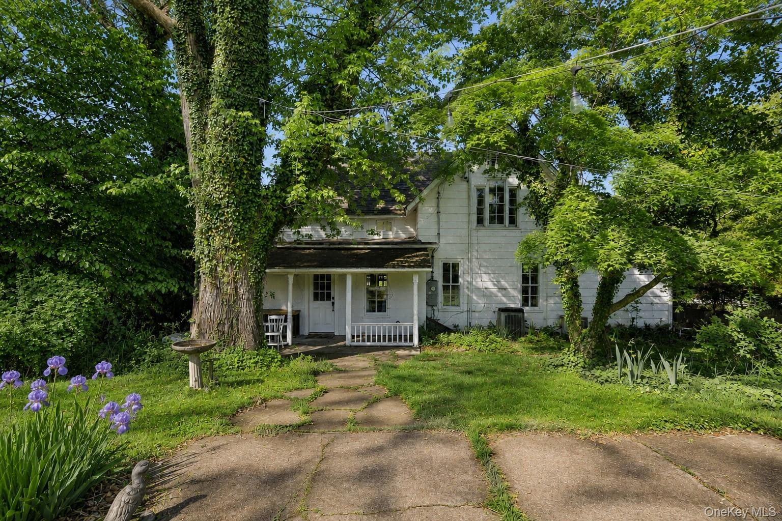 45 Shore Road thumbnail 34