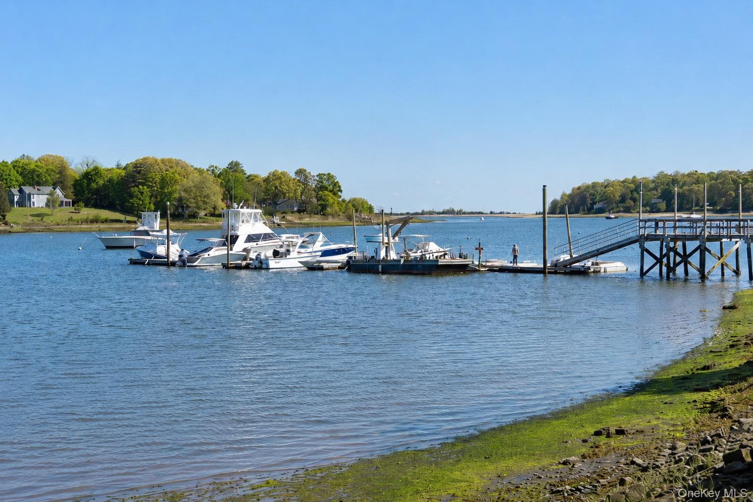 45 Shore Road thumbnail 39