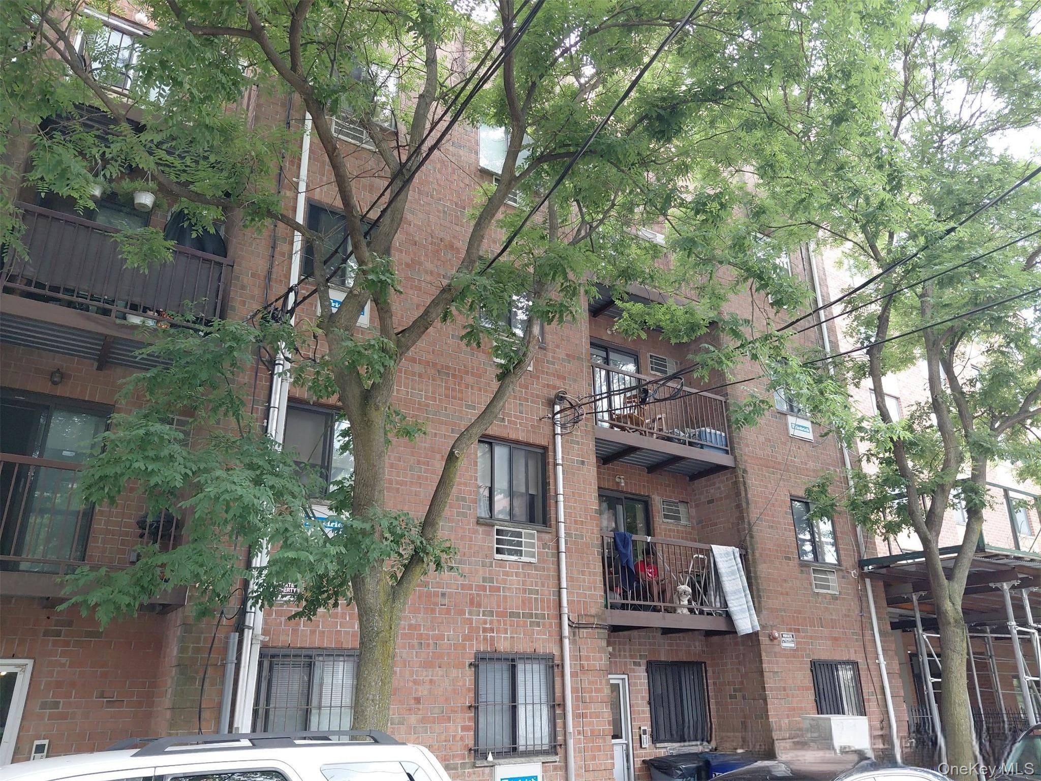 724 E 221st Street Unit: 2A thumbnail 3