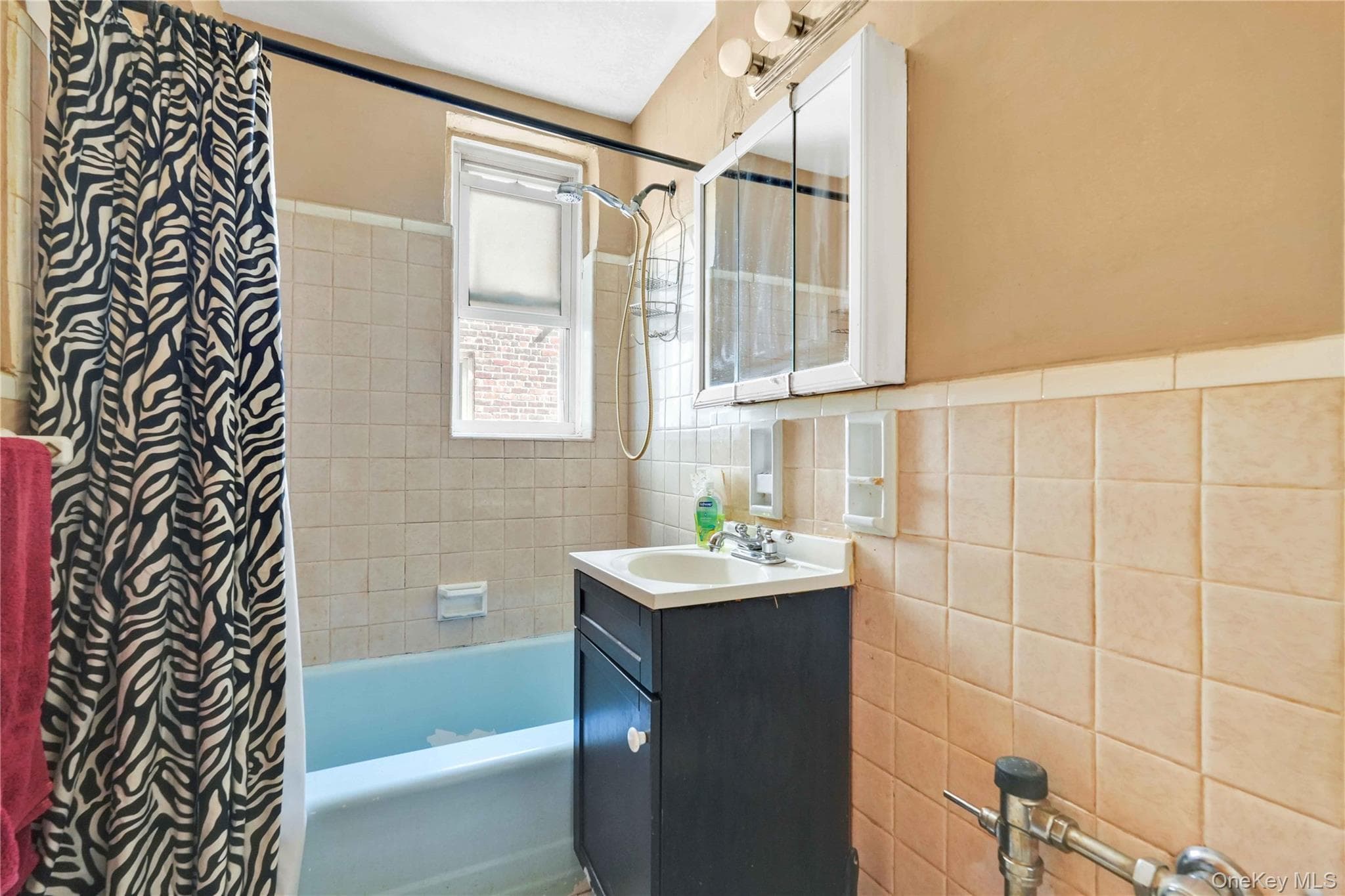 3203 Nostrand Avenue Unit: 5J thumbnail 13