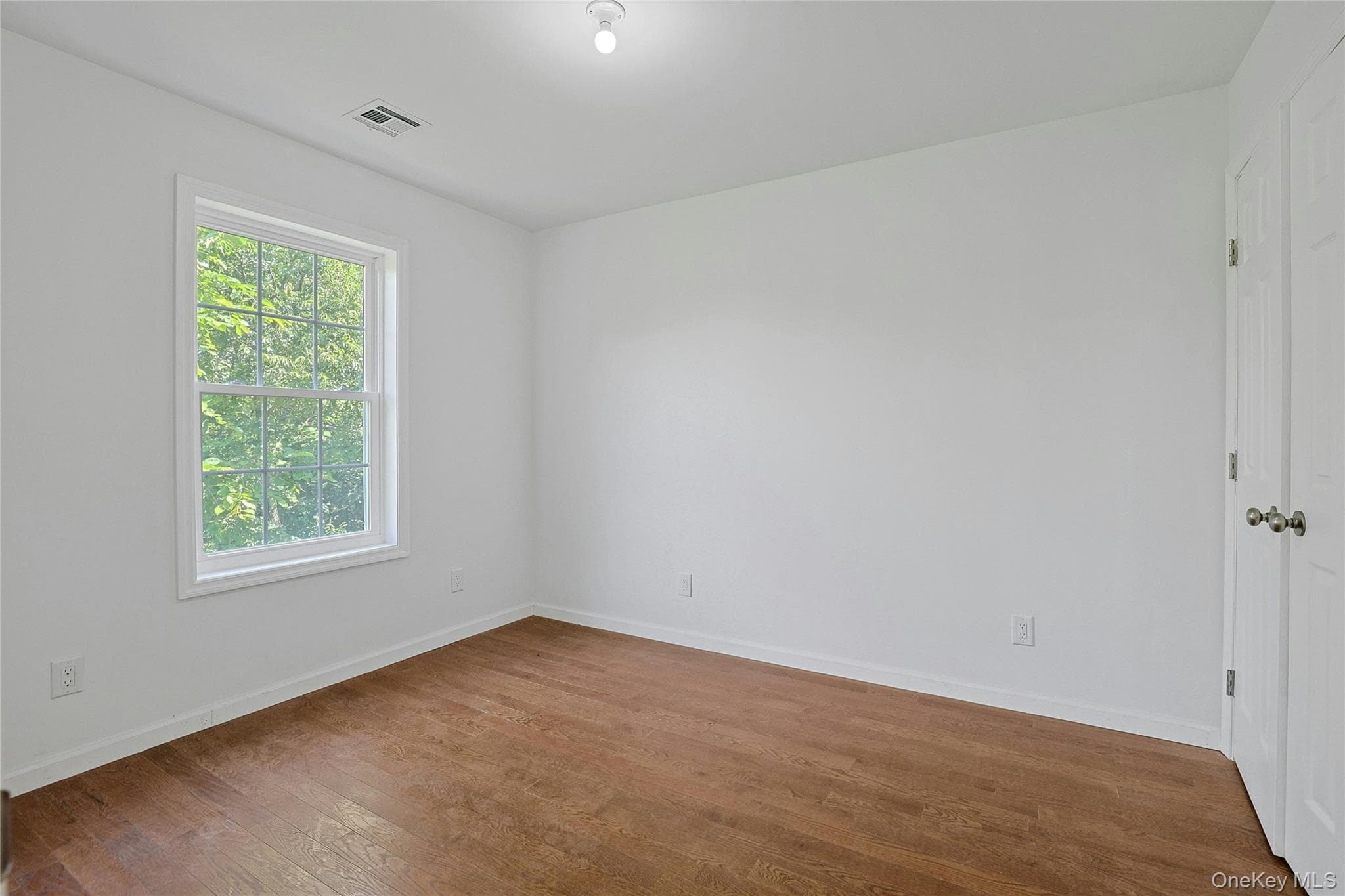 15 Waldron Avenue thumbnail 31