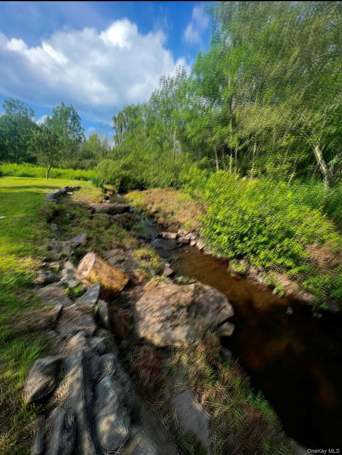 542 Mitchell Hollow Road thumbnail 21