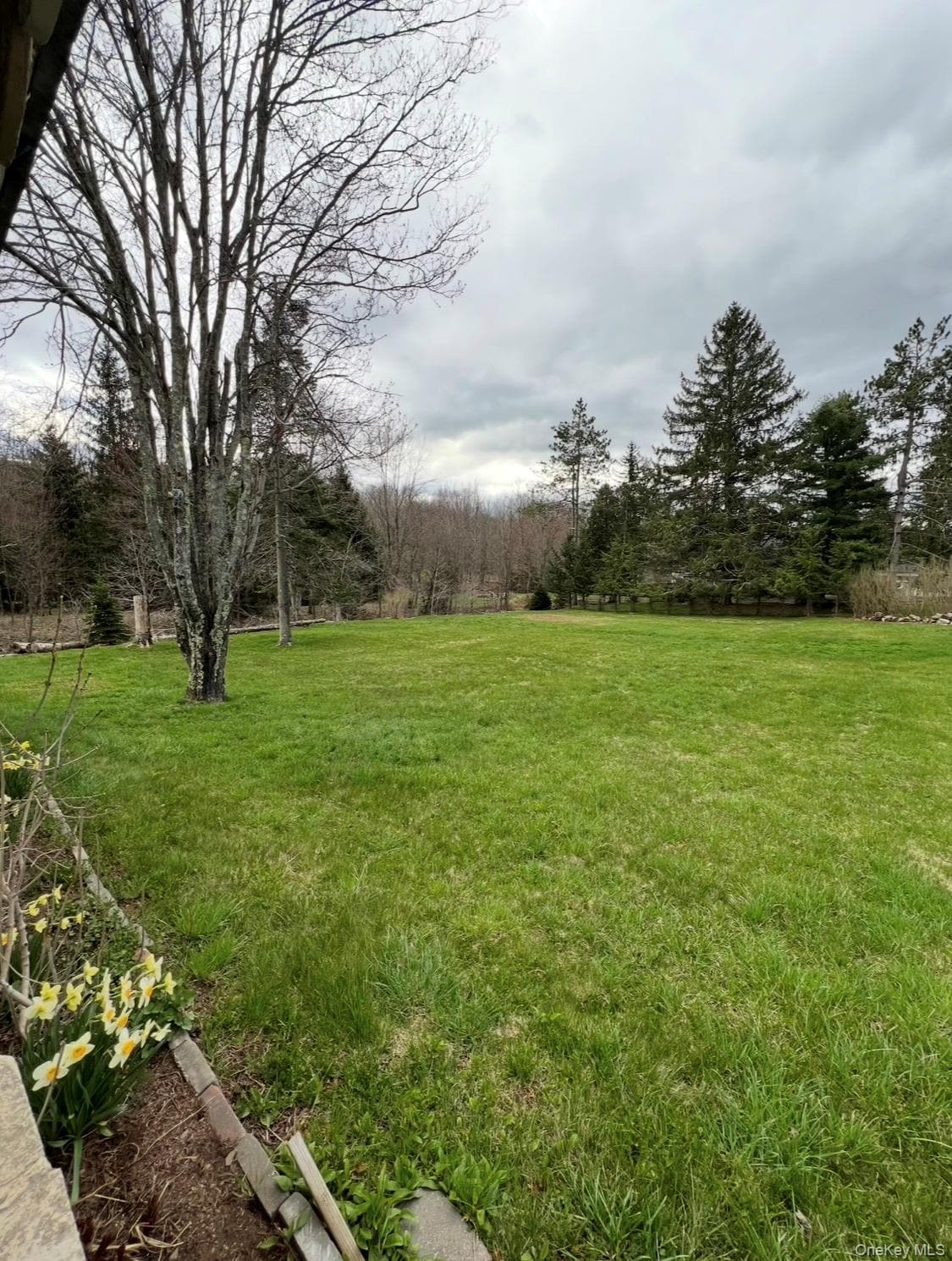 542 Mitchell Hollow Road thumbnail 19
