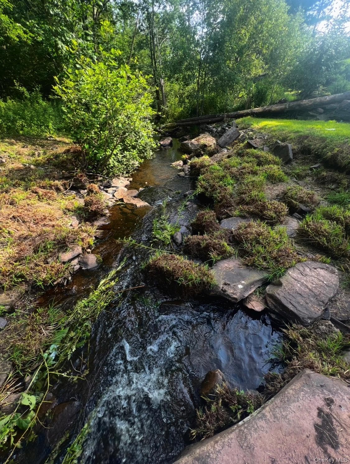 542 Mitchell Hollow Road thumbnail 20