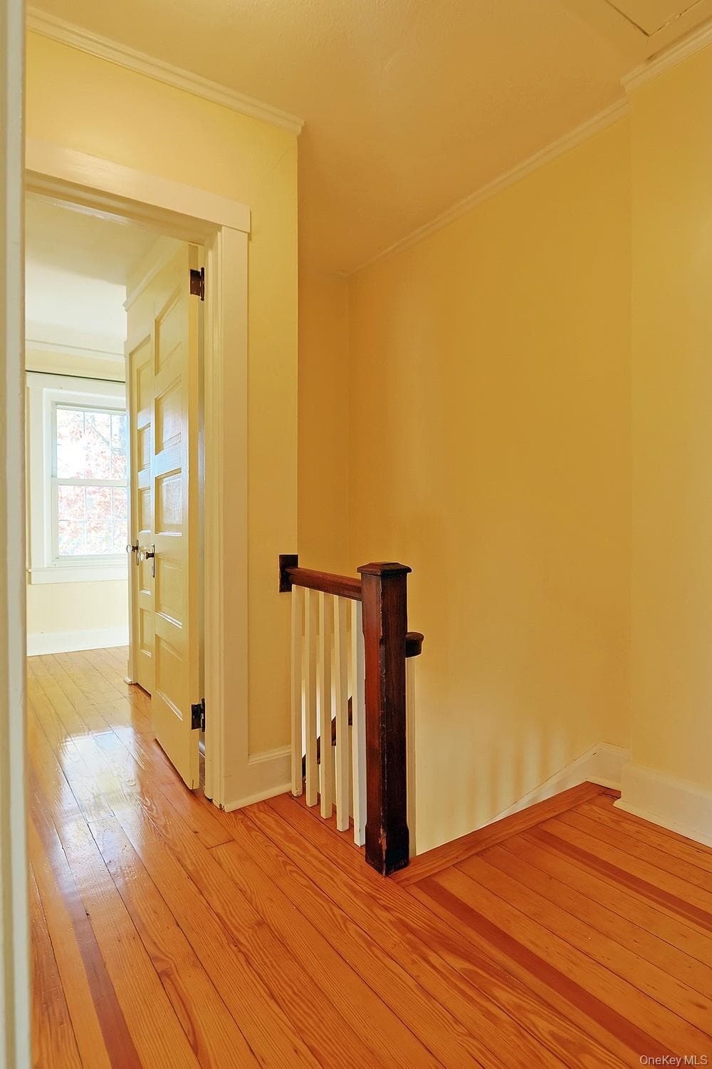 10 Wilson Street thumbnail 23
