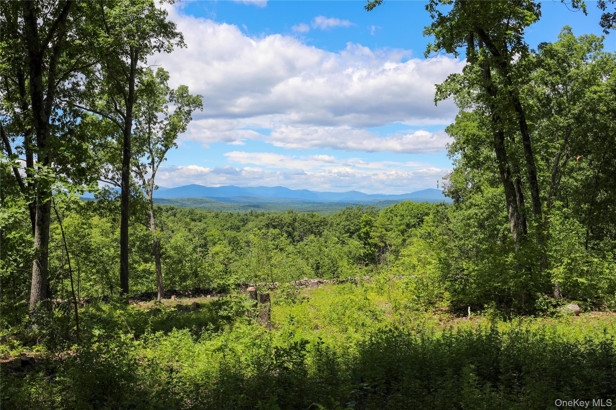 814 Cow Hough Road thumbnail 2