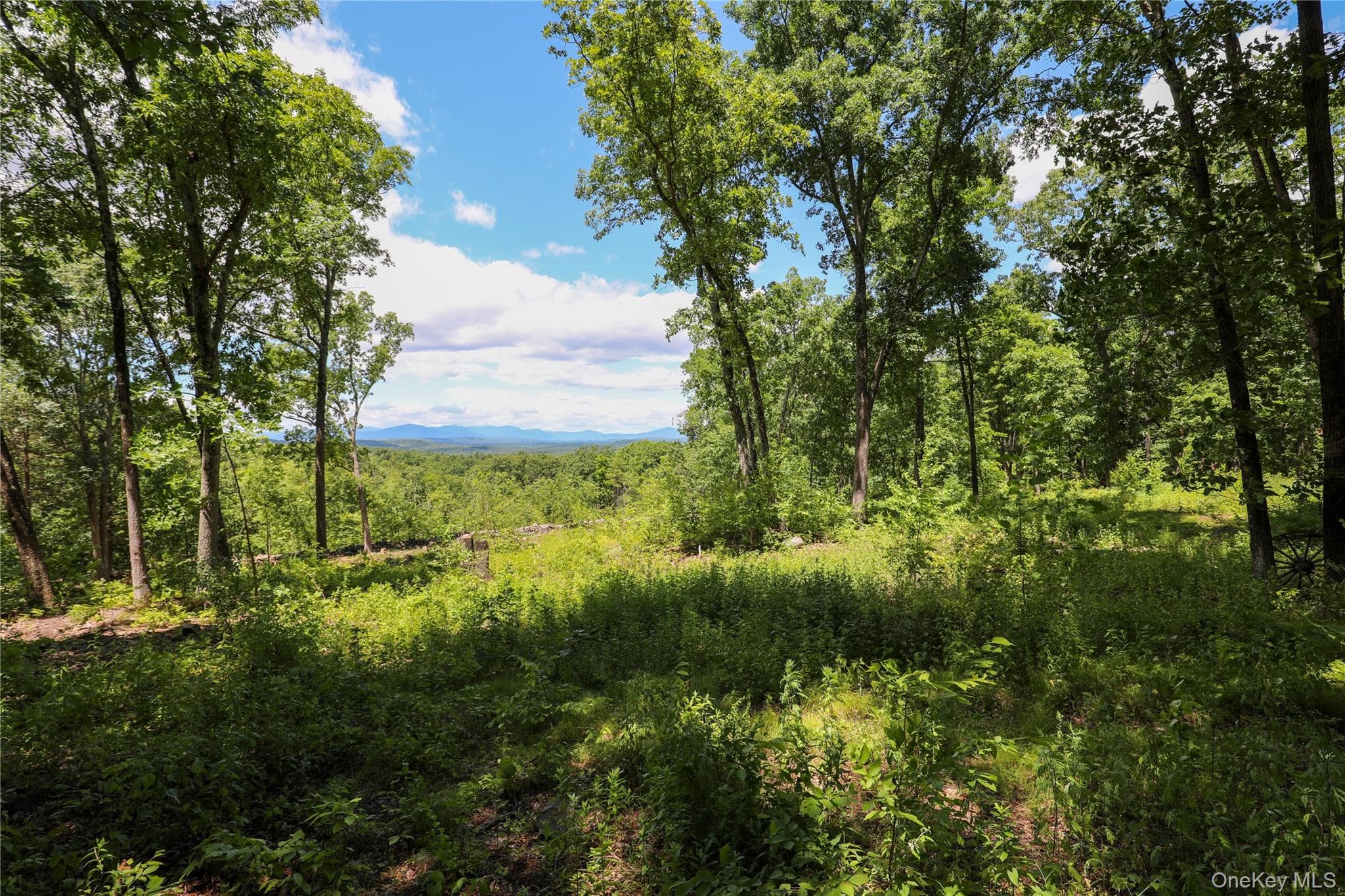 814 Cow Hough Road thumbnail 3