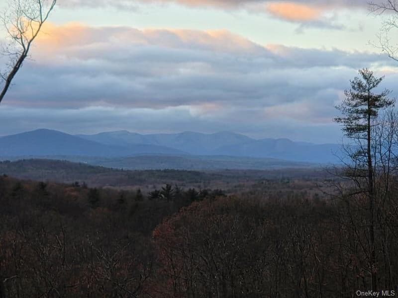 814 Cow Hough Road thumbnail 6