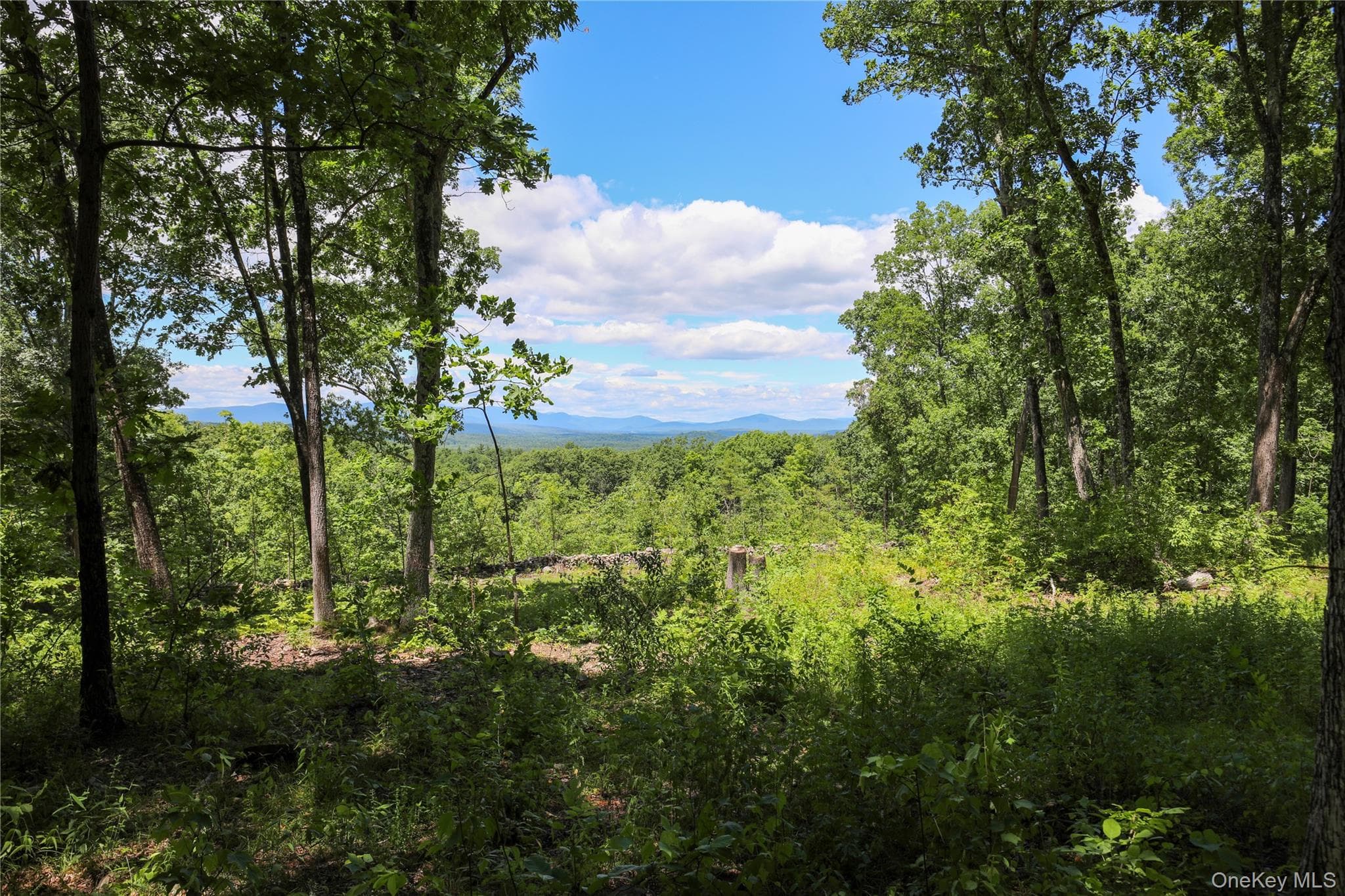 814 Cow Hough Road, New Paltz