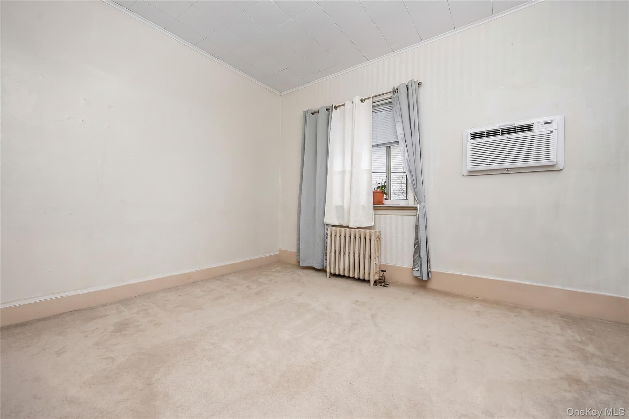 7905 Pitkin Avenue thumbnail 10