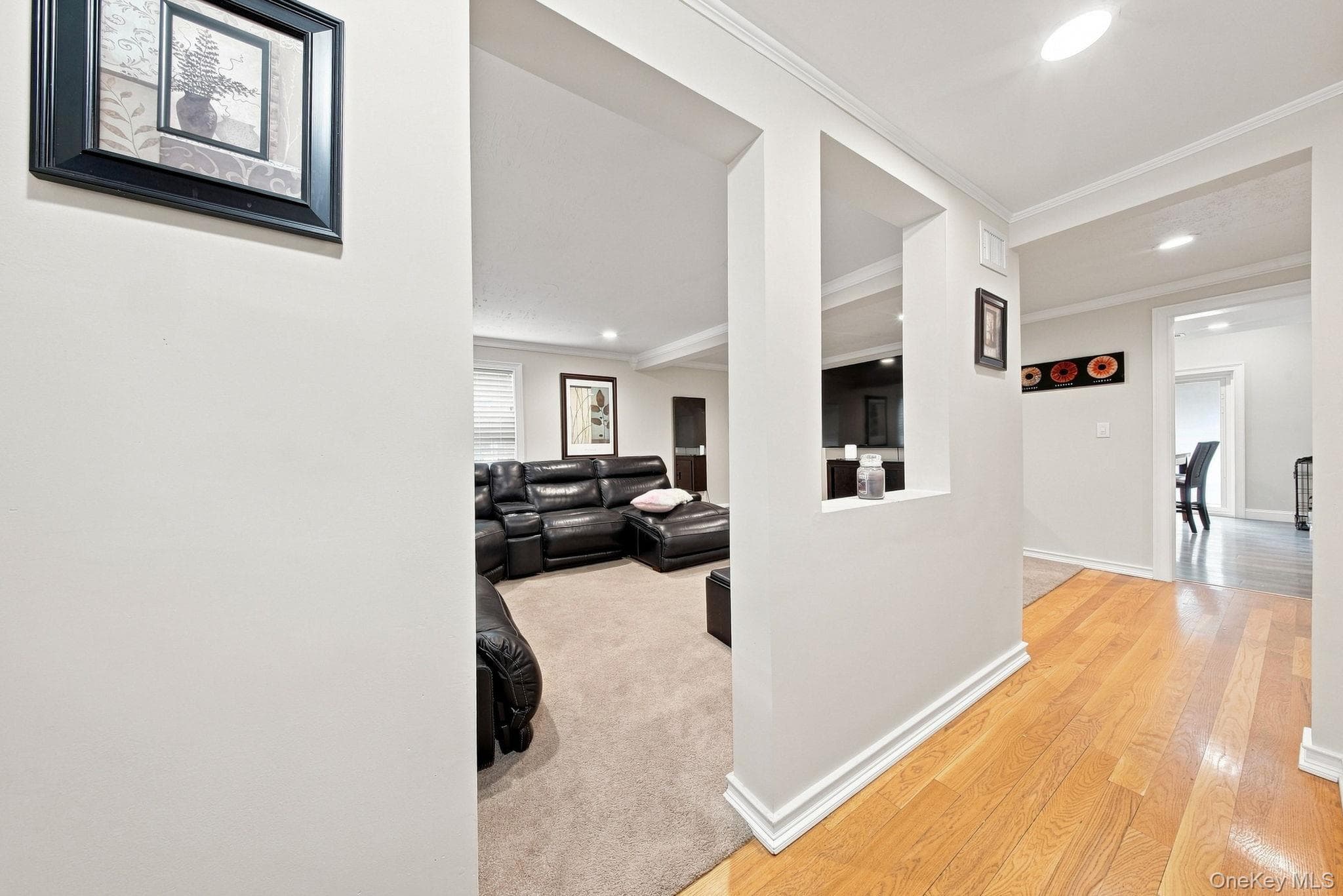 8 Nelson Street thumbnail 9