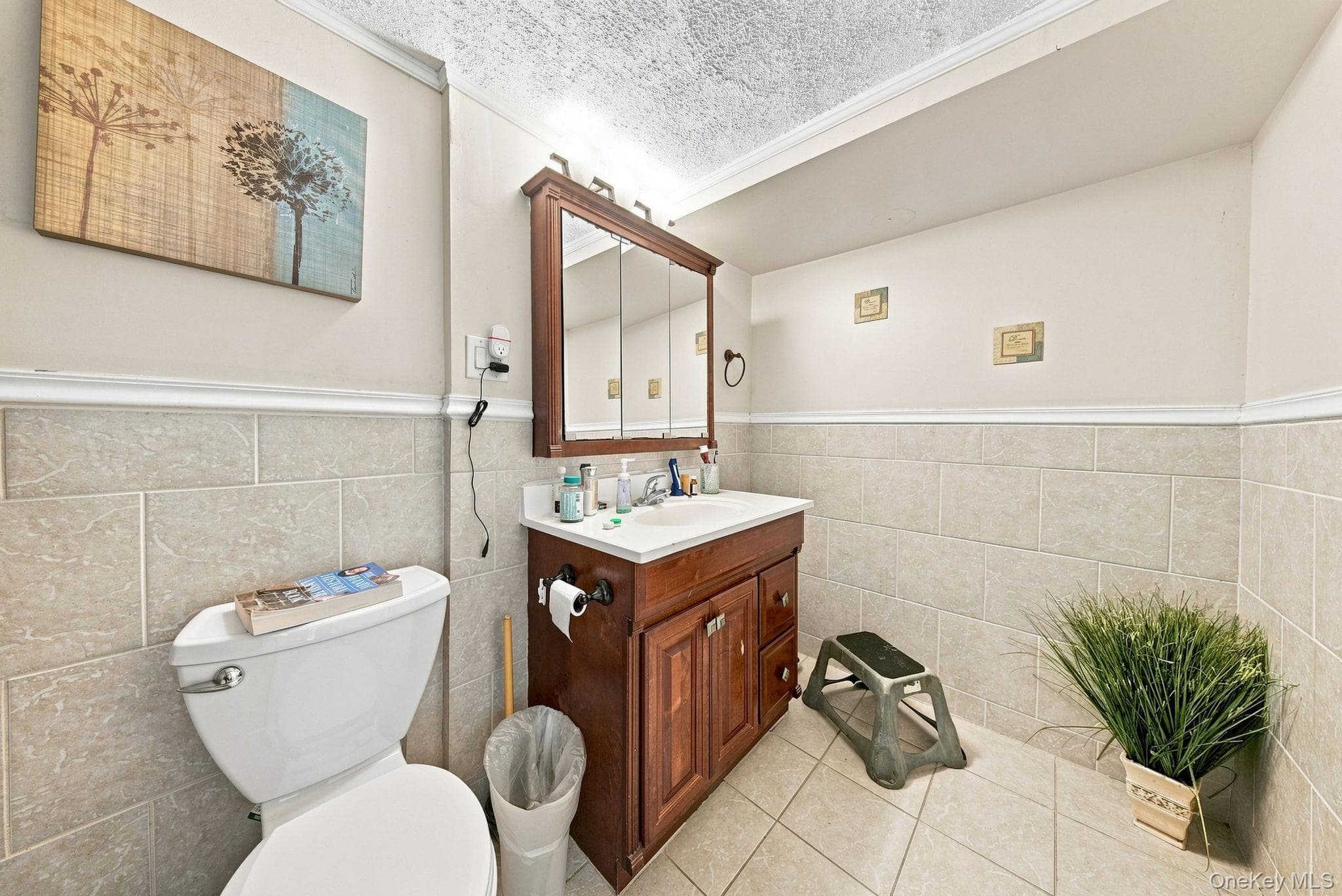 8 Nelson Street thumbnail 27