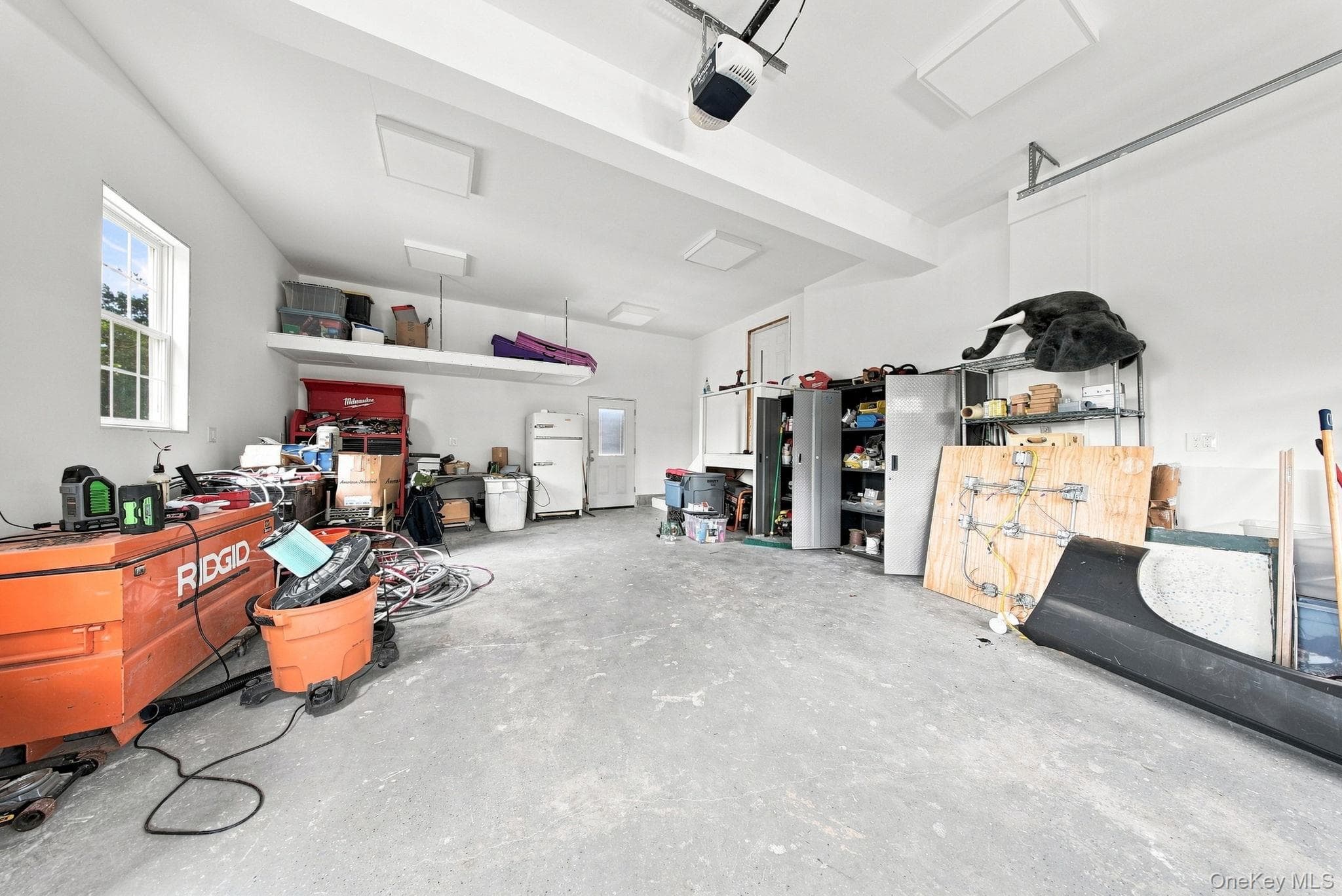 8 Nelson Street thumbnail 35