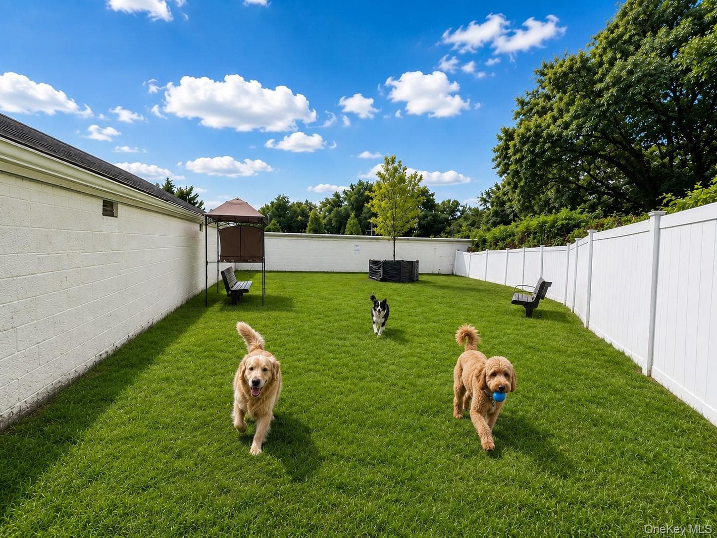 5 Terrace Circle Unit: 1H thumbnail 20