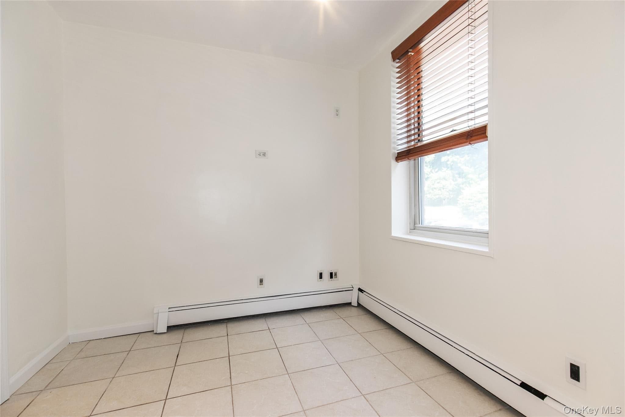 185 Middle Neck RD Unit: 1-L thumbnail 9