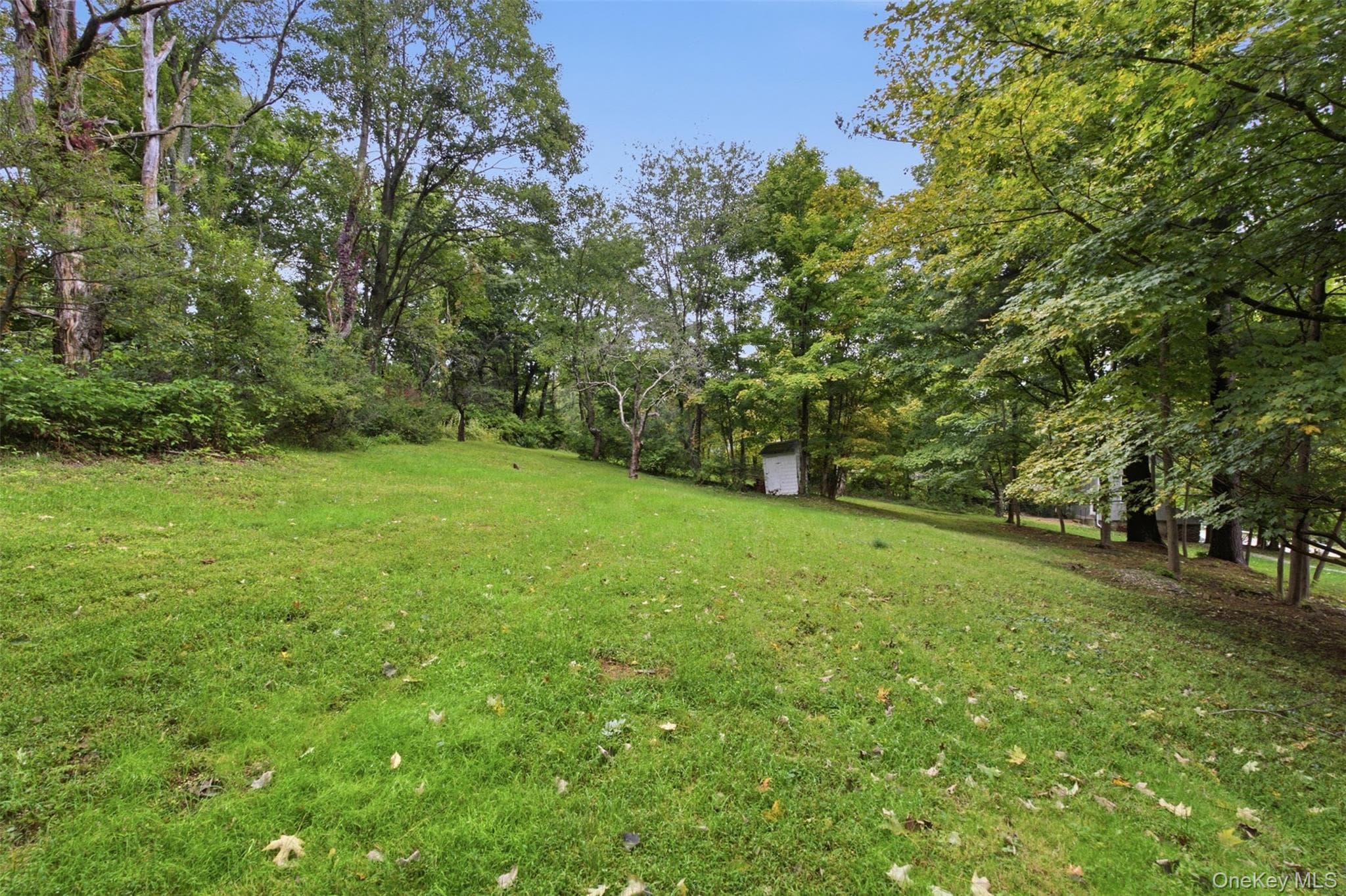 115 Somerstown Road thumbnail 34
