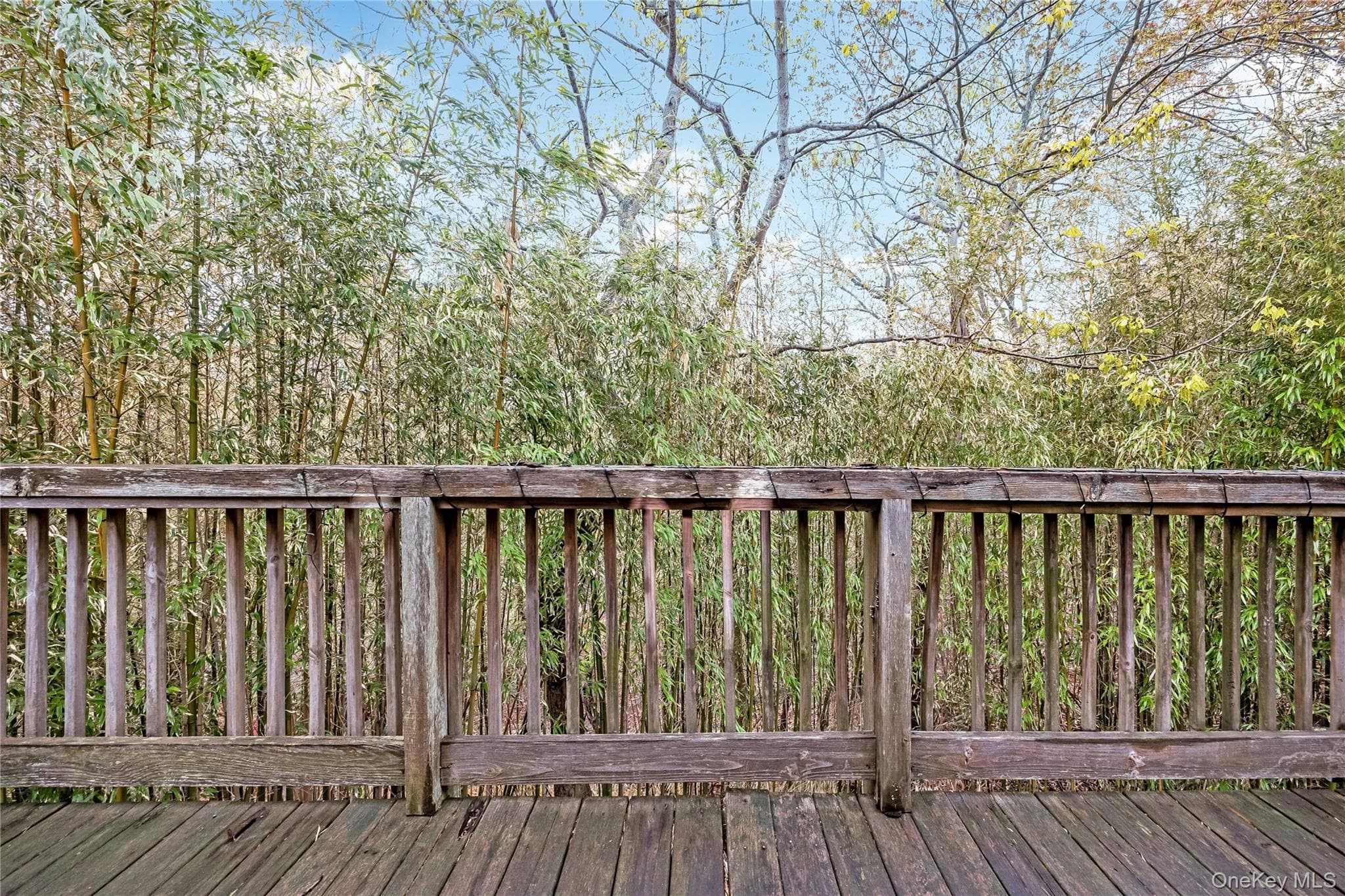 3010 Hulse Landing RD Unit: C-19 thumbnail 17