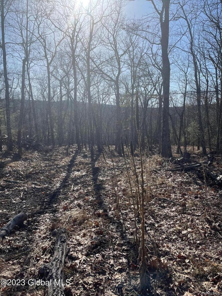 L26 & L27 Ecker Hollow Road thumbnail 28