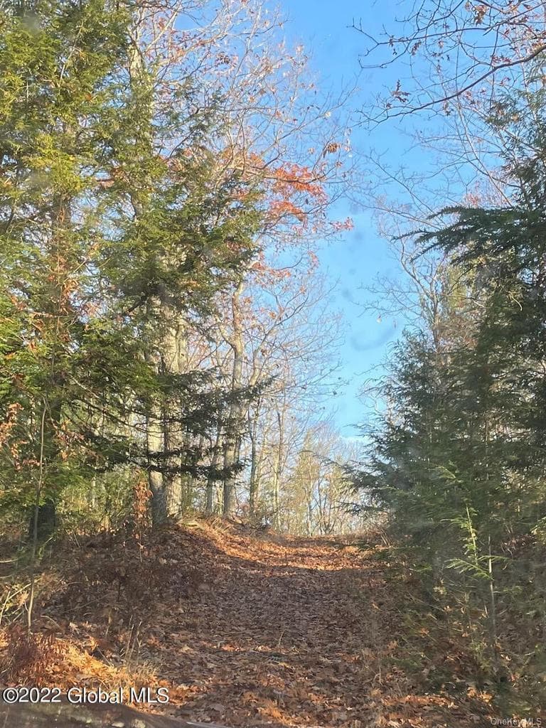 L26 & L27 Ecker Hollow Road thumbnail 6
