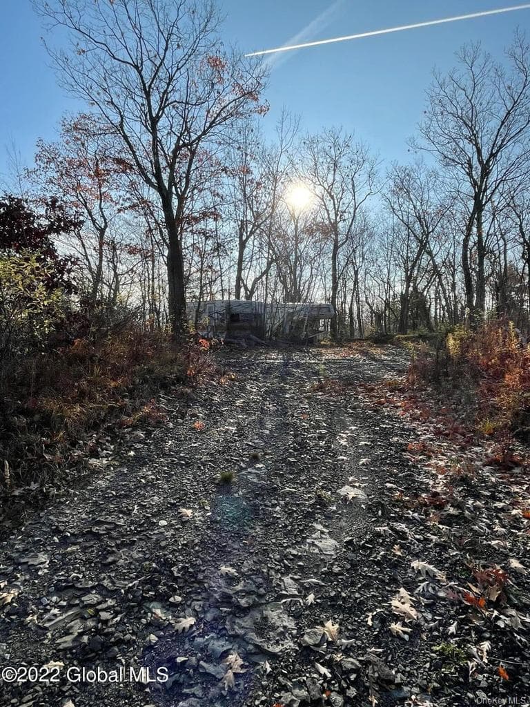L26 & L27 Ecker Hollow Road thumbnail 7