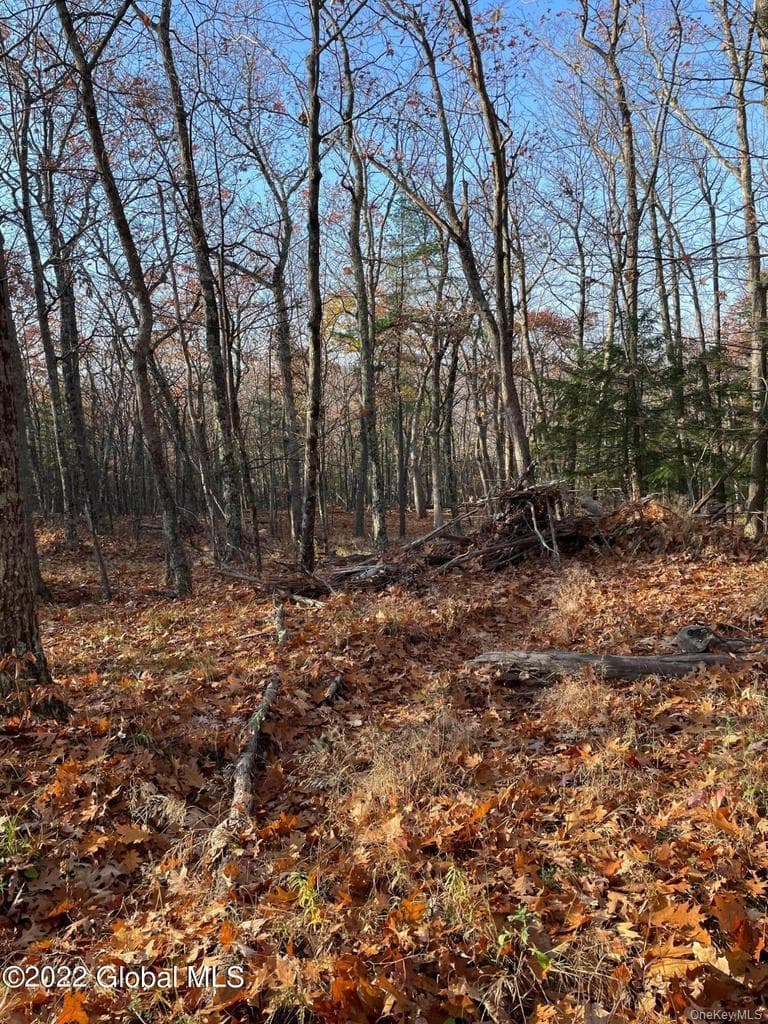 L26 & L27 Ecker Hollow Road thumbnail 22