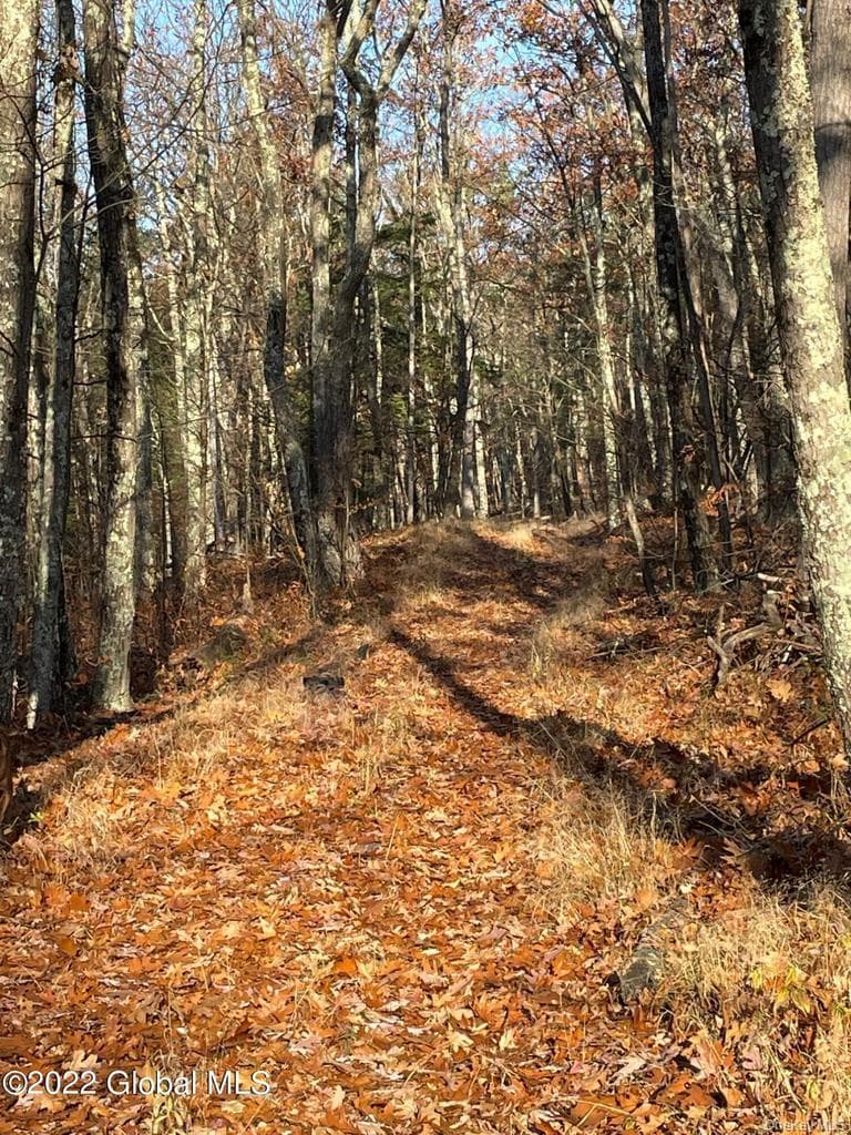 L26 & L27 Ecker Hollow Road thumbnail 23
