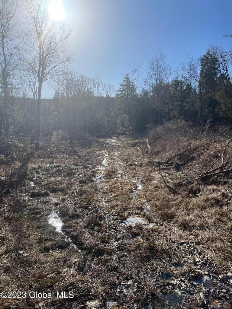 L26 & L27 Ecker Hollow Road thumbnail 31