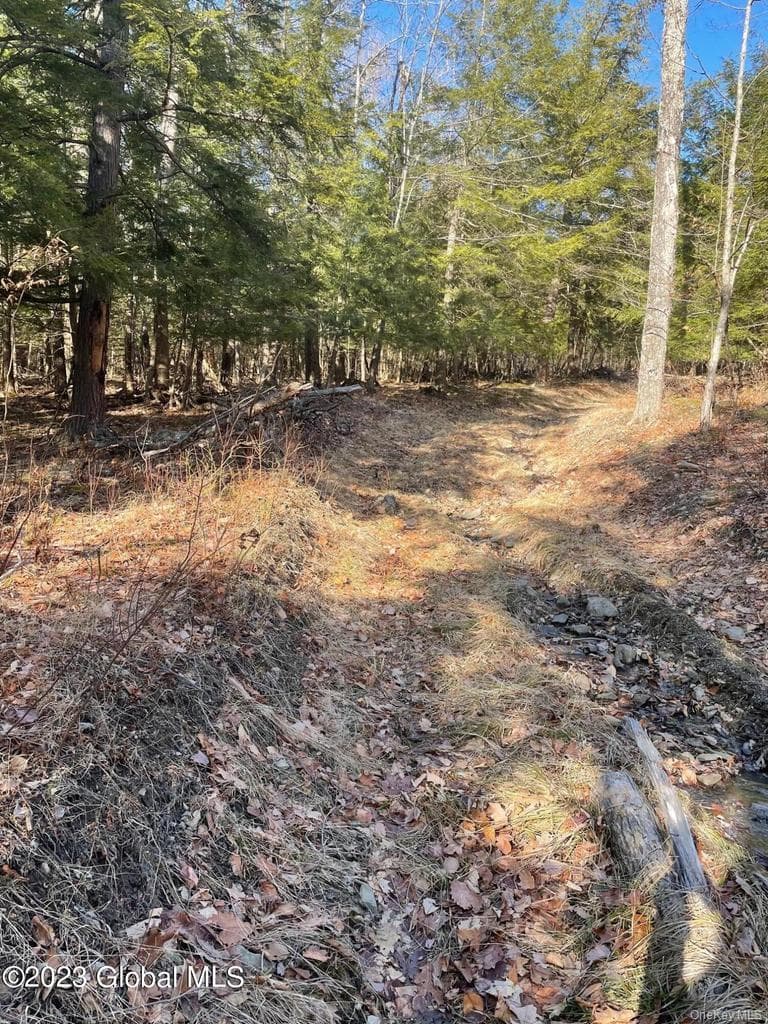 L26 & L27 Ecker Hollow Road thumbnail 32